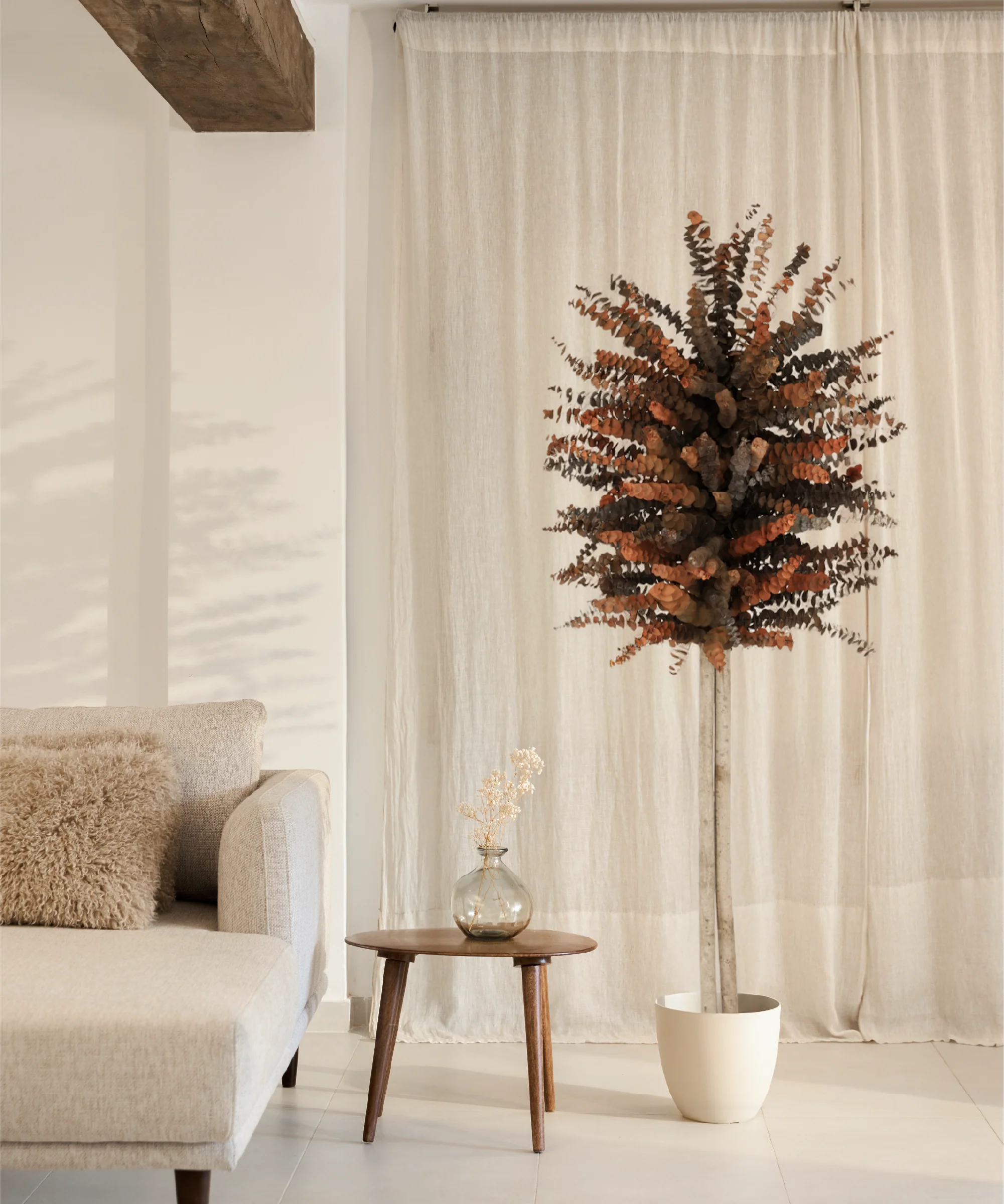 Árbol Eucalipto Preservado Baby - Image 4