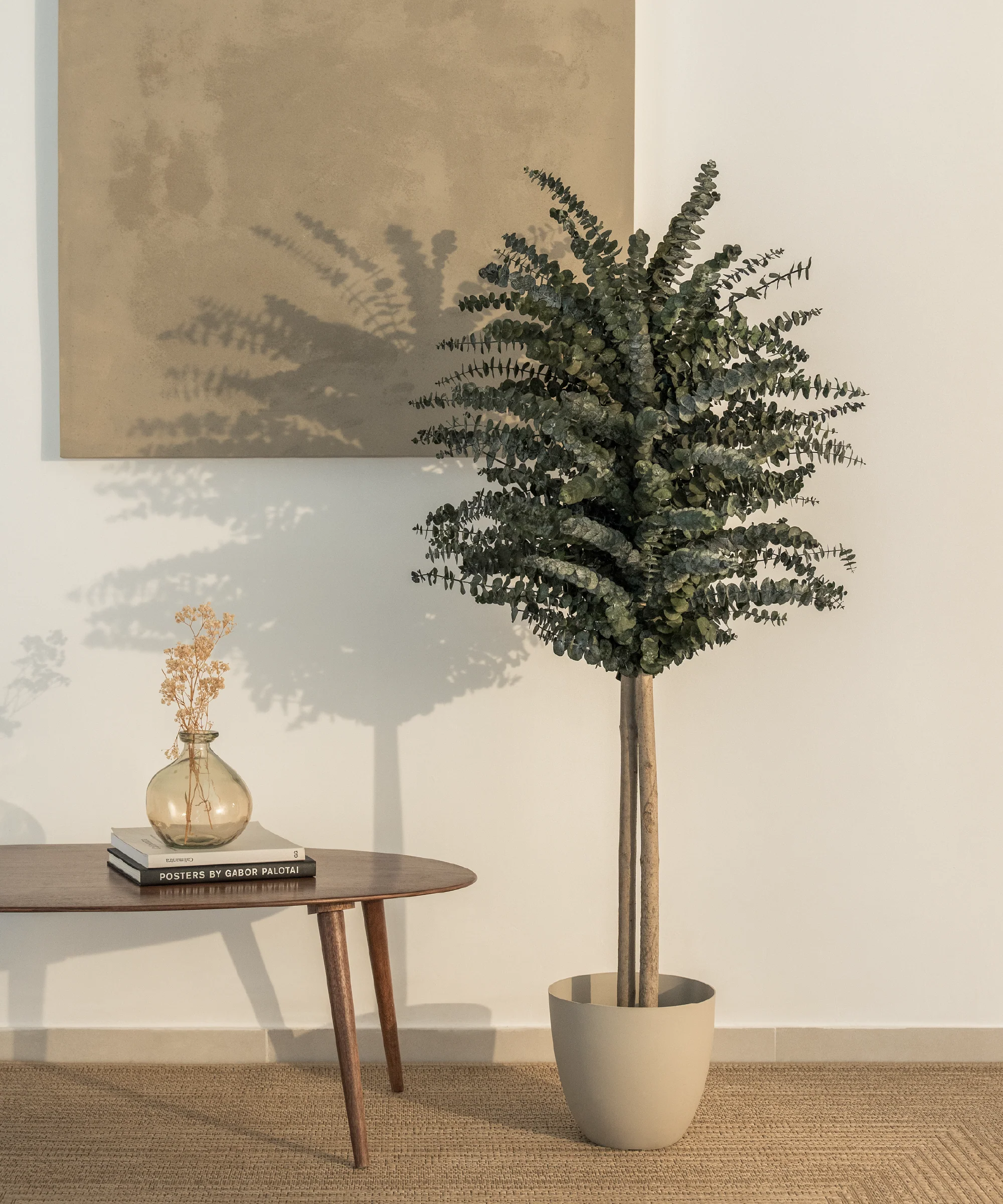 Árbol Eucalipto Preservado Baby - Image 6
