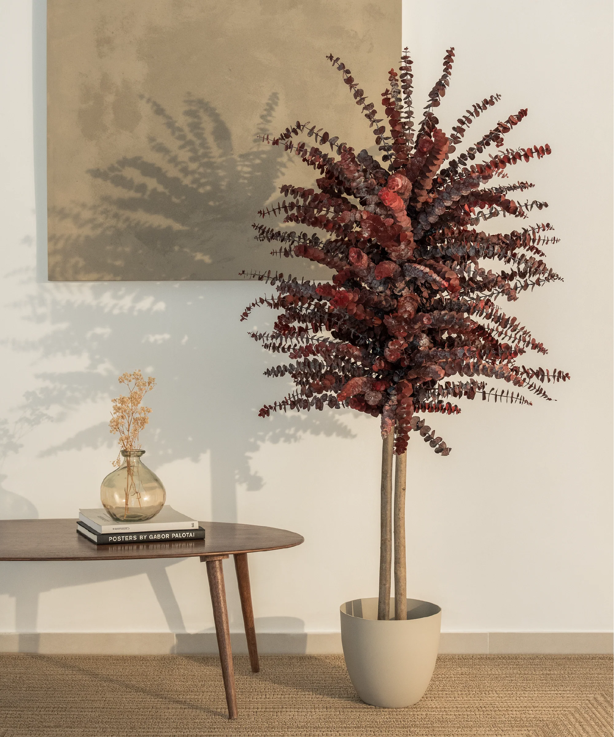 Árbol Eucalipto Preservado Baby - Image 7