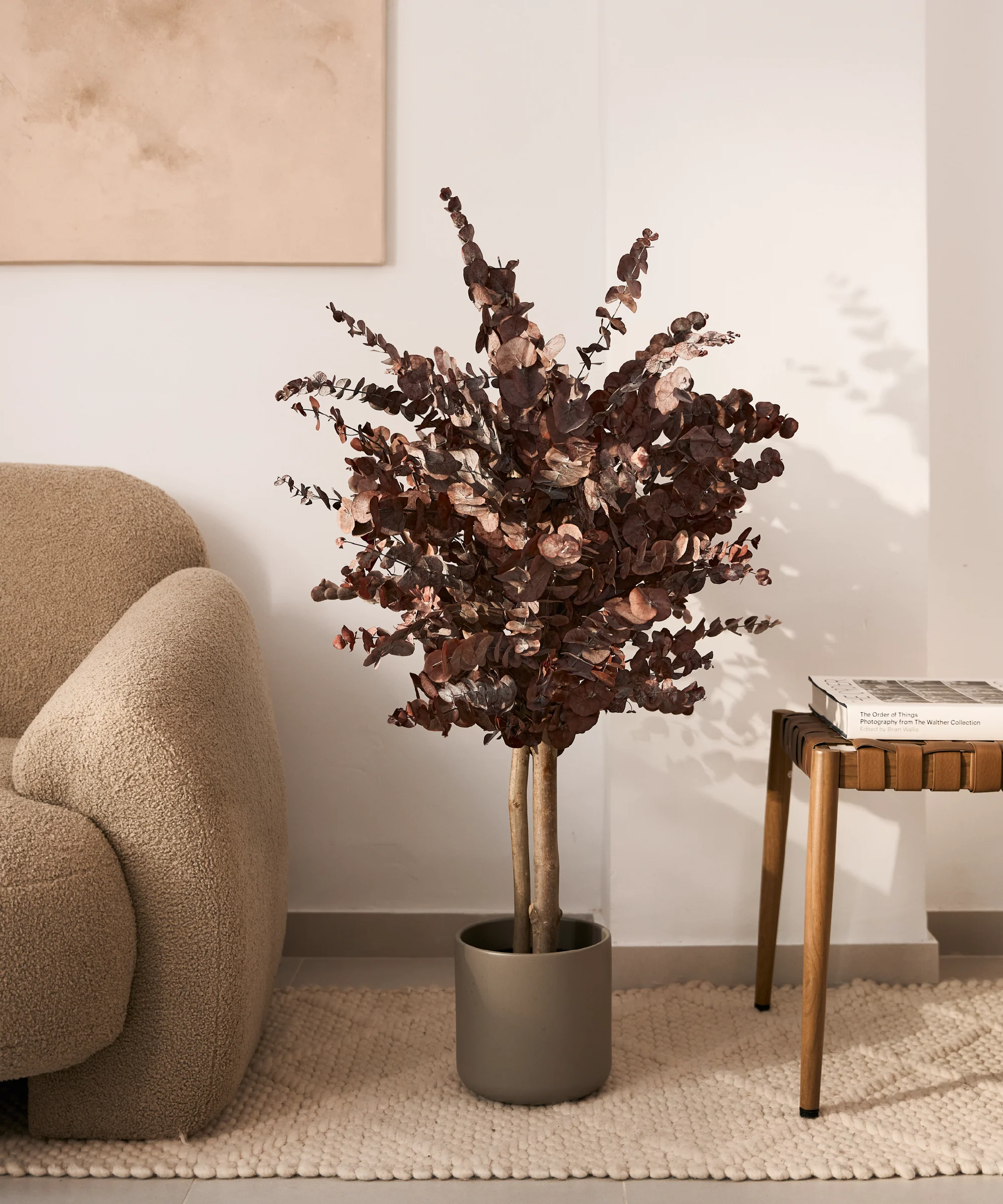 Árbol Eucalipto Preservado Essential - Image 10