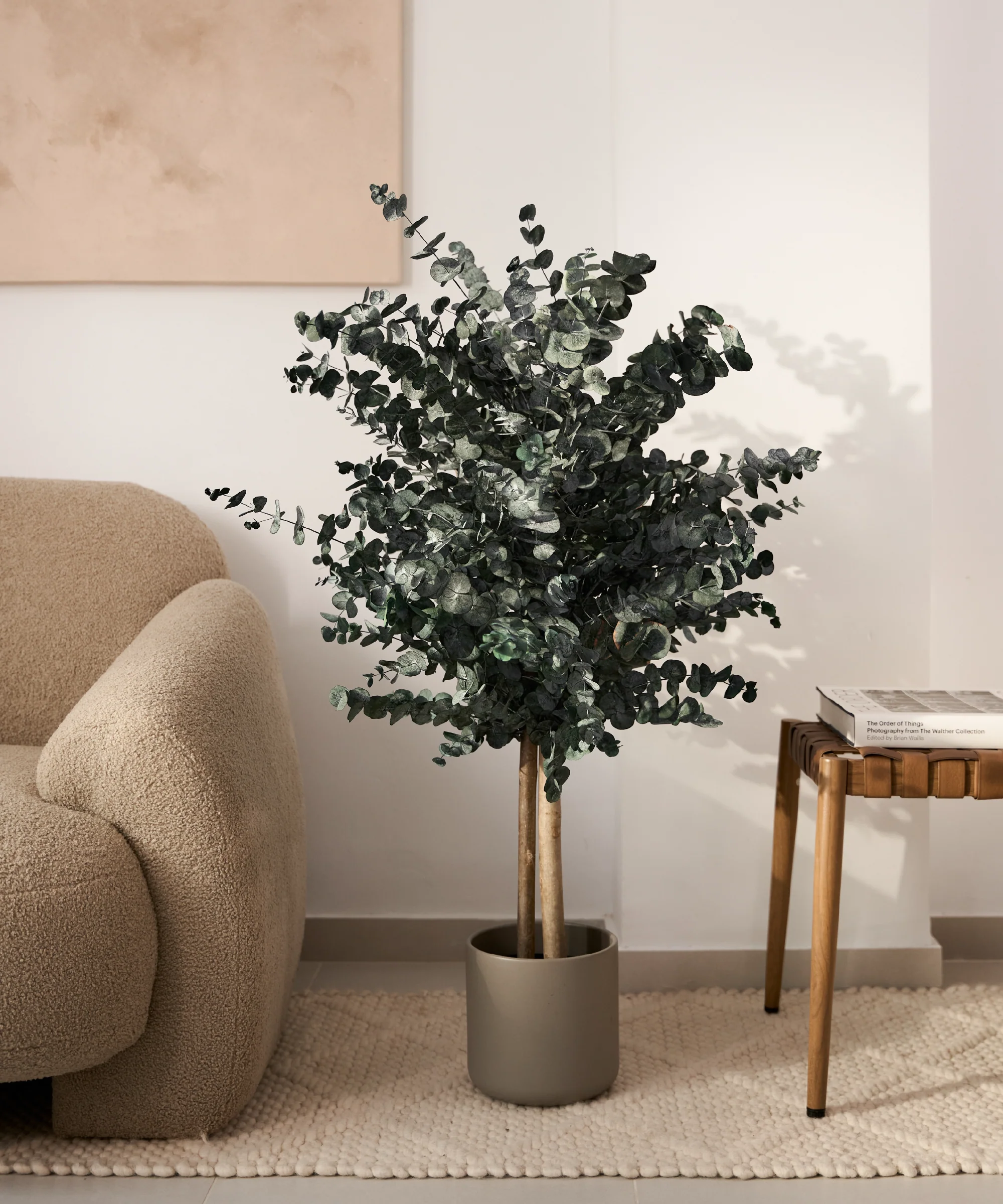 Árbol Eucalipto Preservado Essential - Image 11