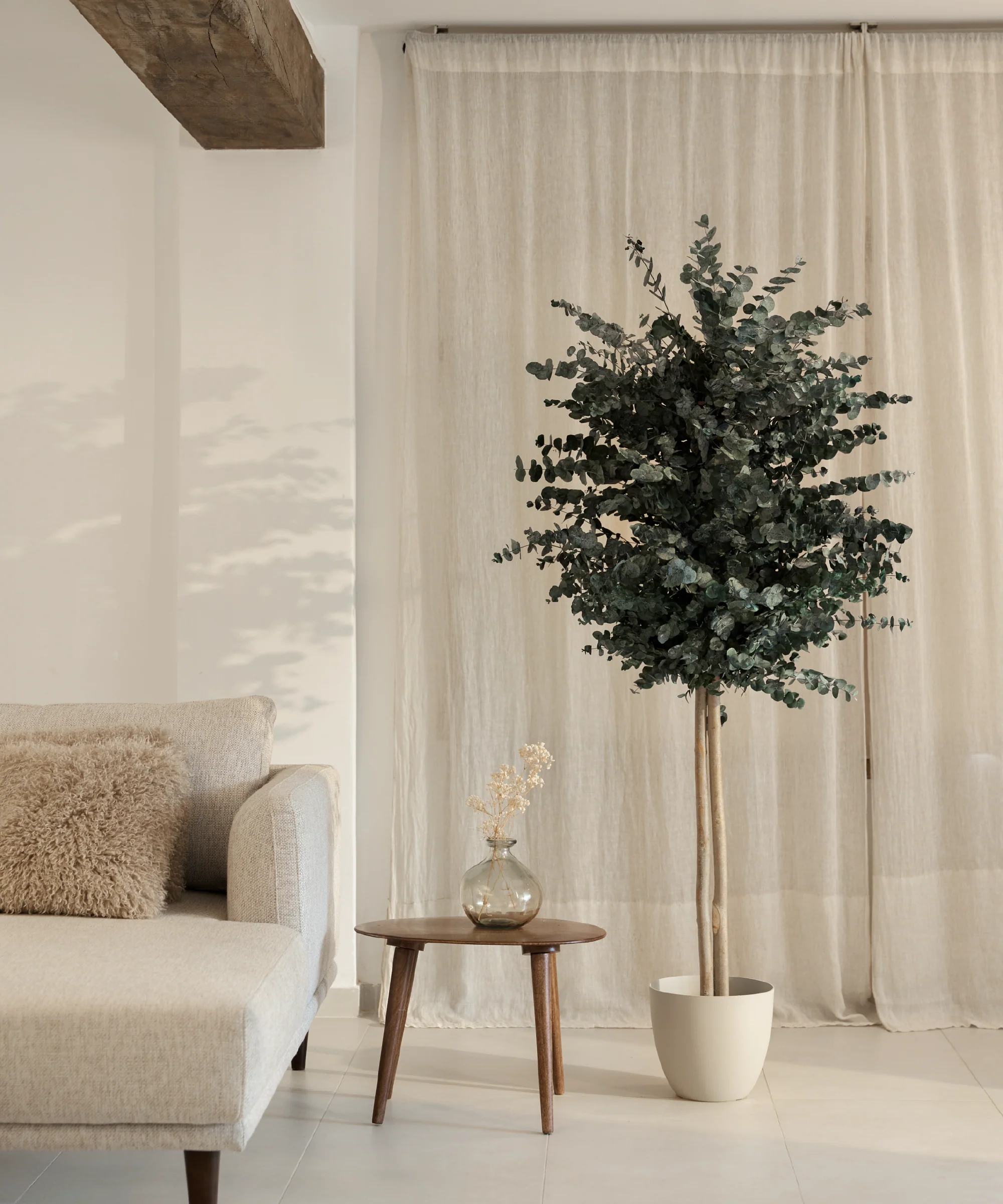 Árbol Eucalipto Preservado Essential - Image 3