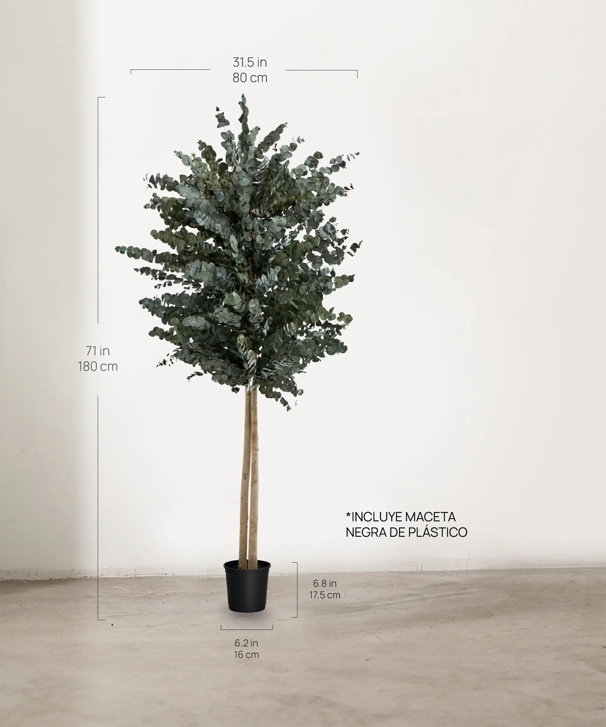 Árbol Eucalipto Preservado Essential - Image 4