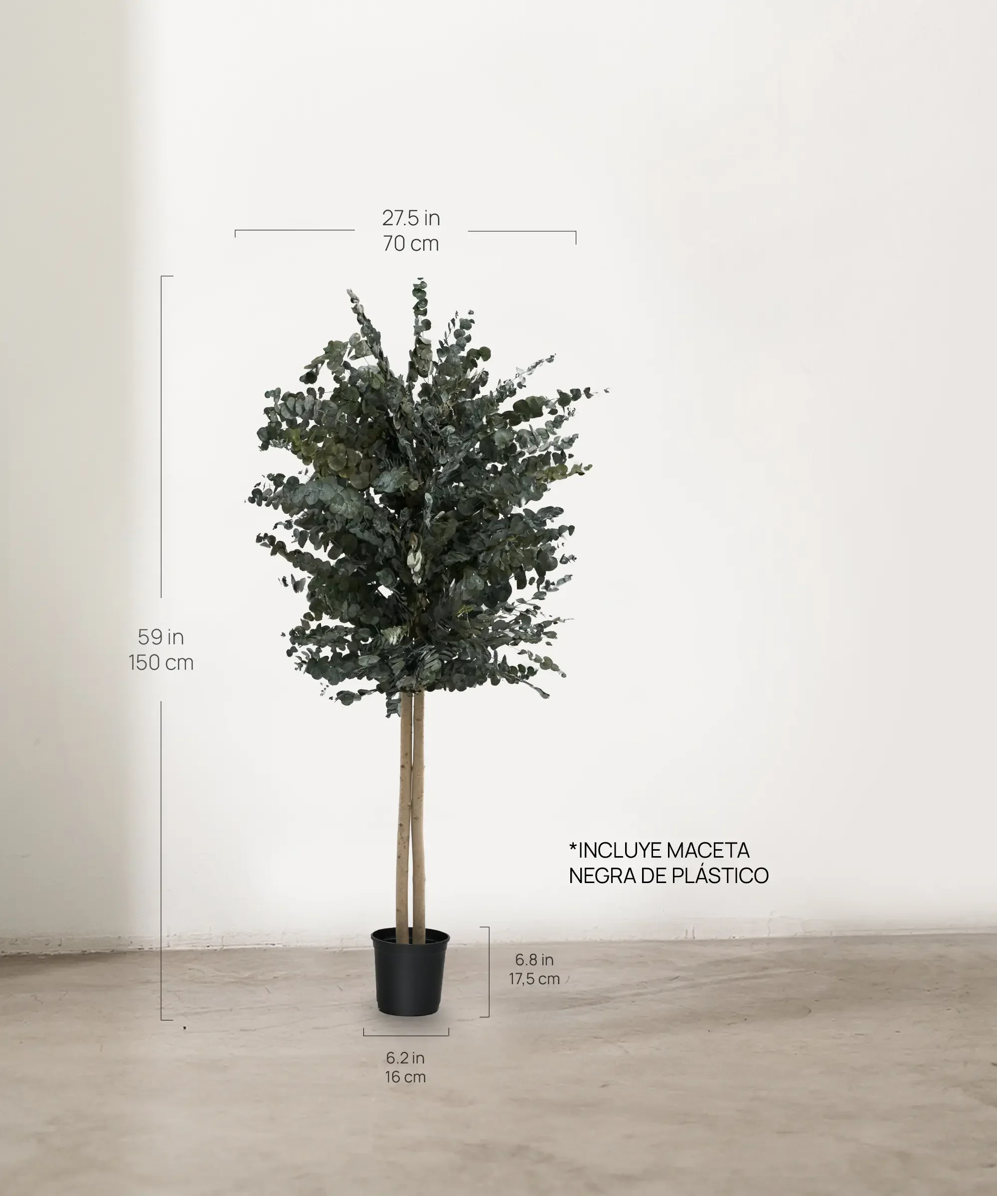 Árbol Eucalipto Preservado Essential - Image 8