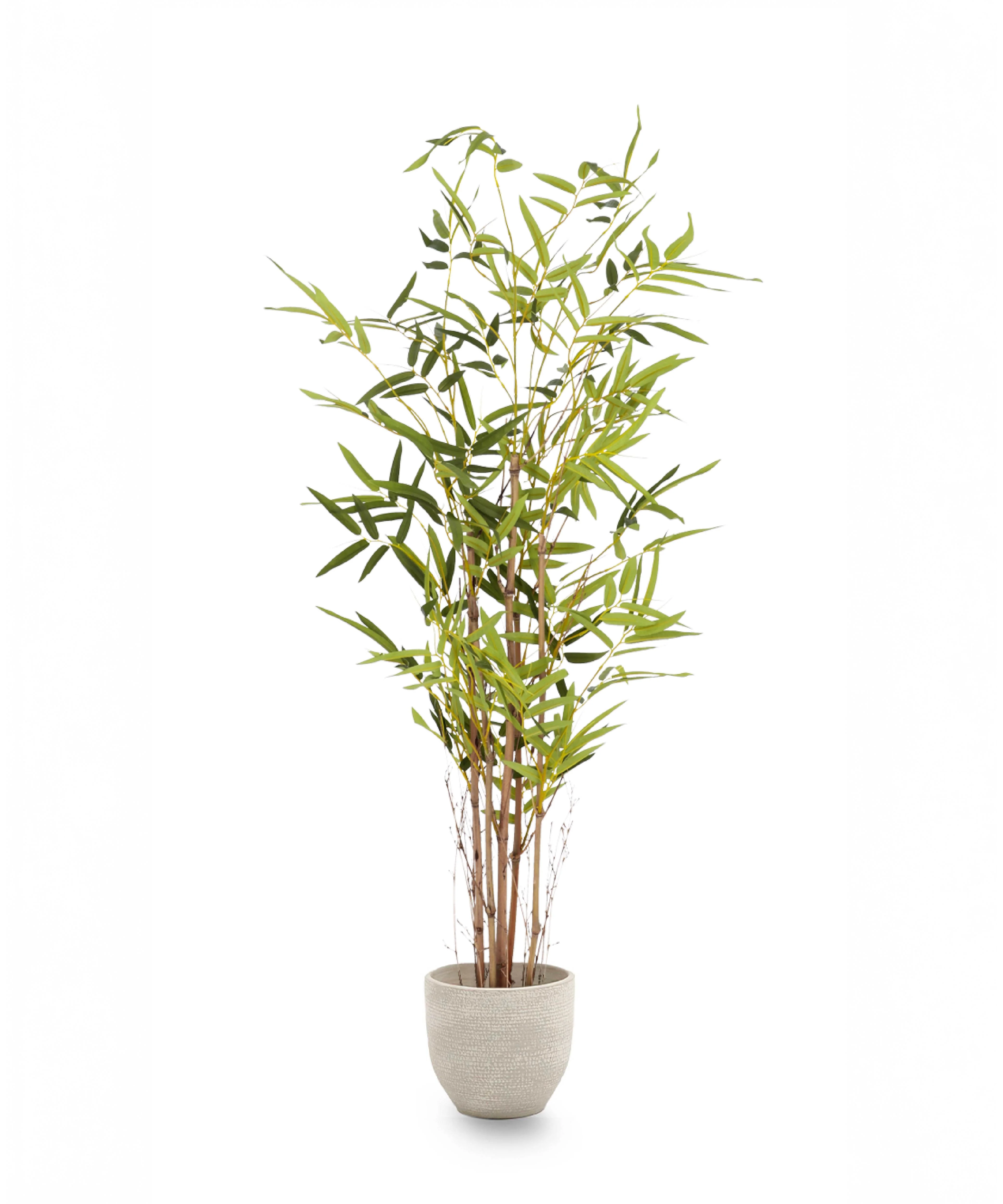 Bambú Artificial Savage - Image 10