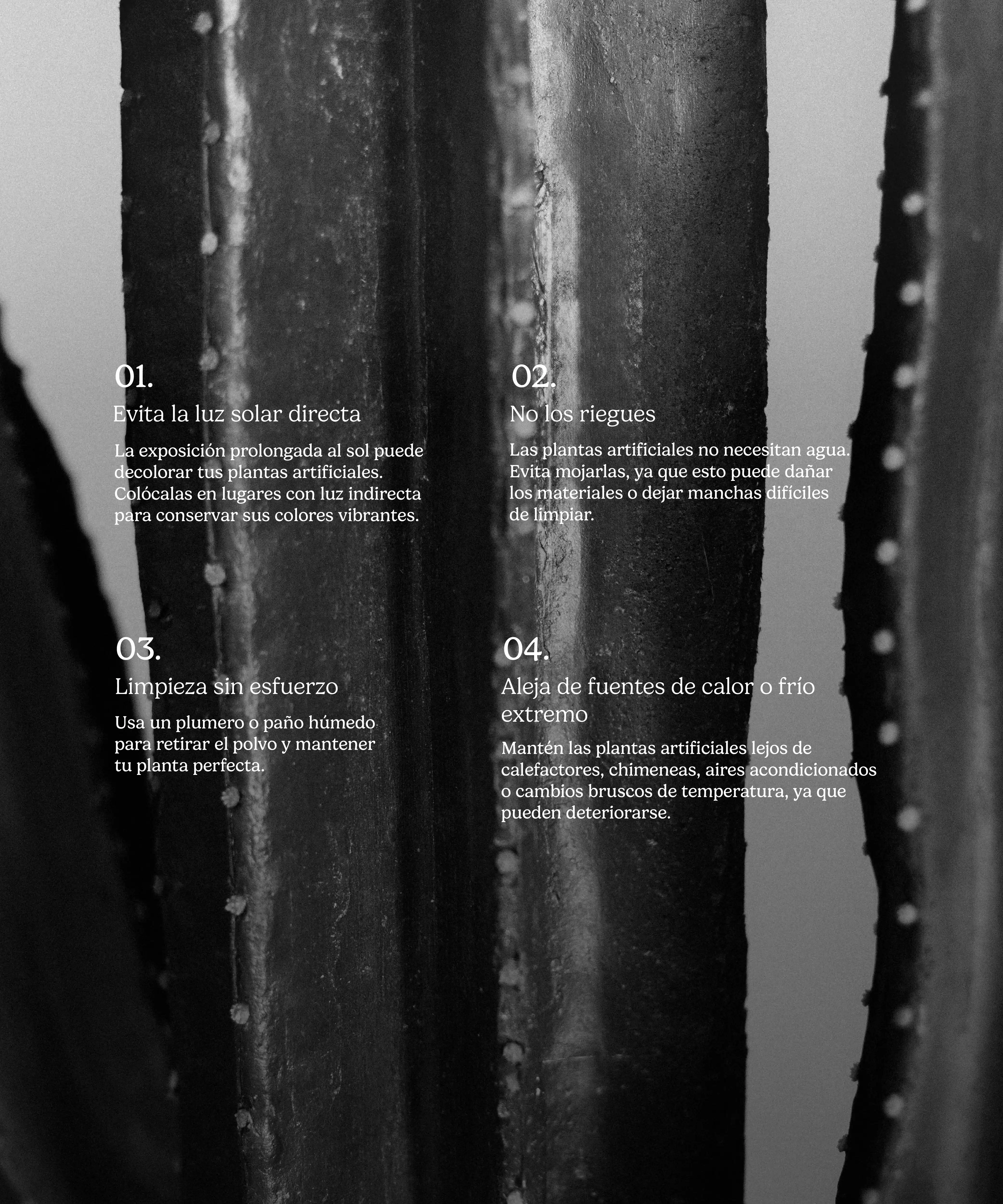 Cactus artificial - Image 11
