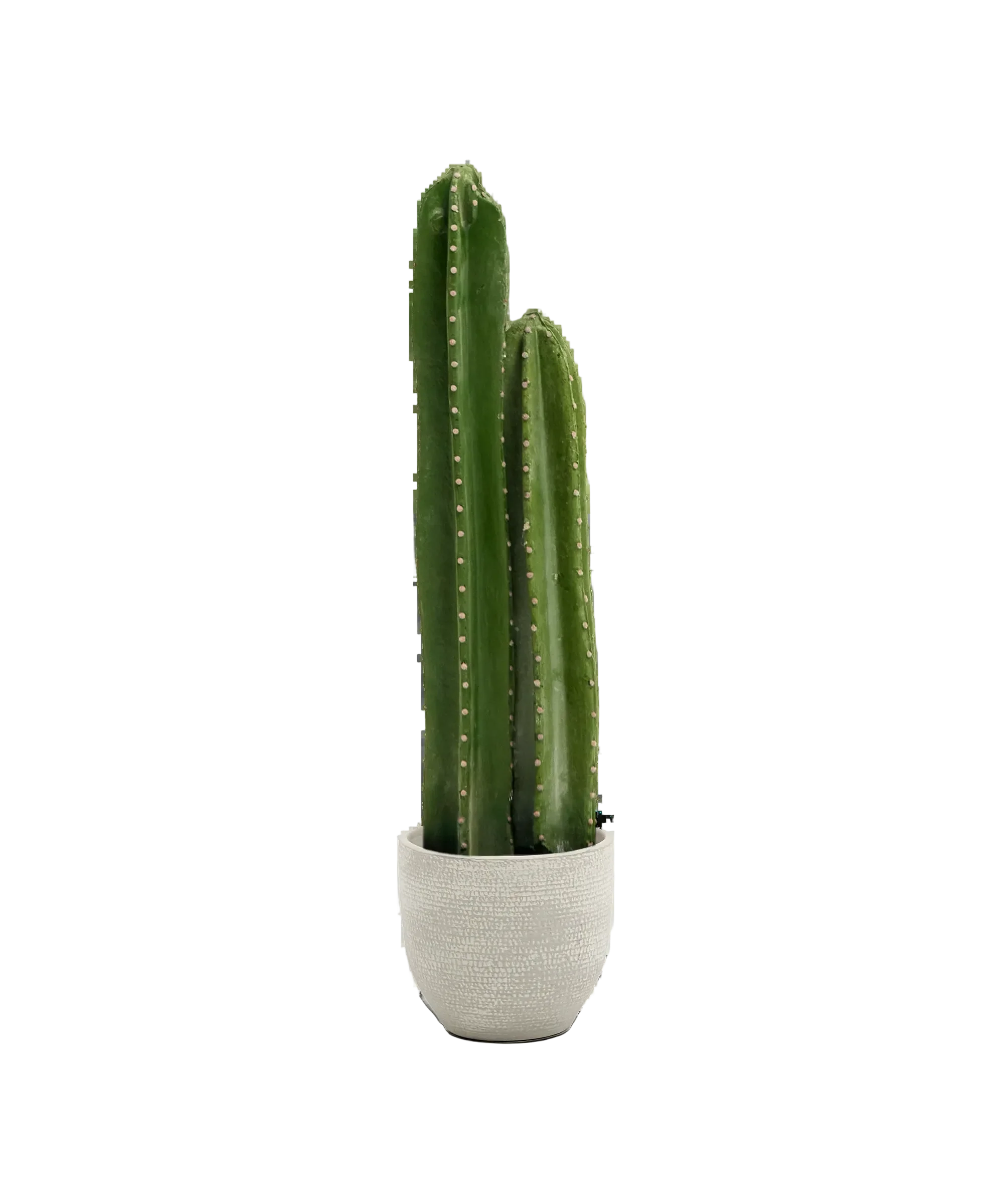 Cactus artificial - Image 6