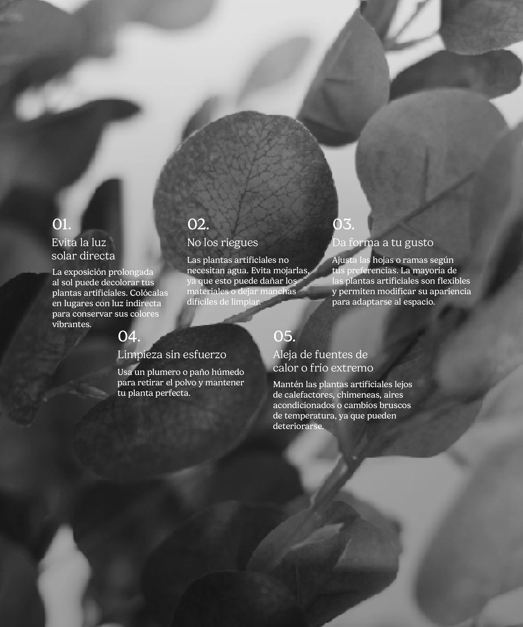 Eucalipto Artificial - Image 10