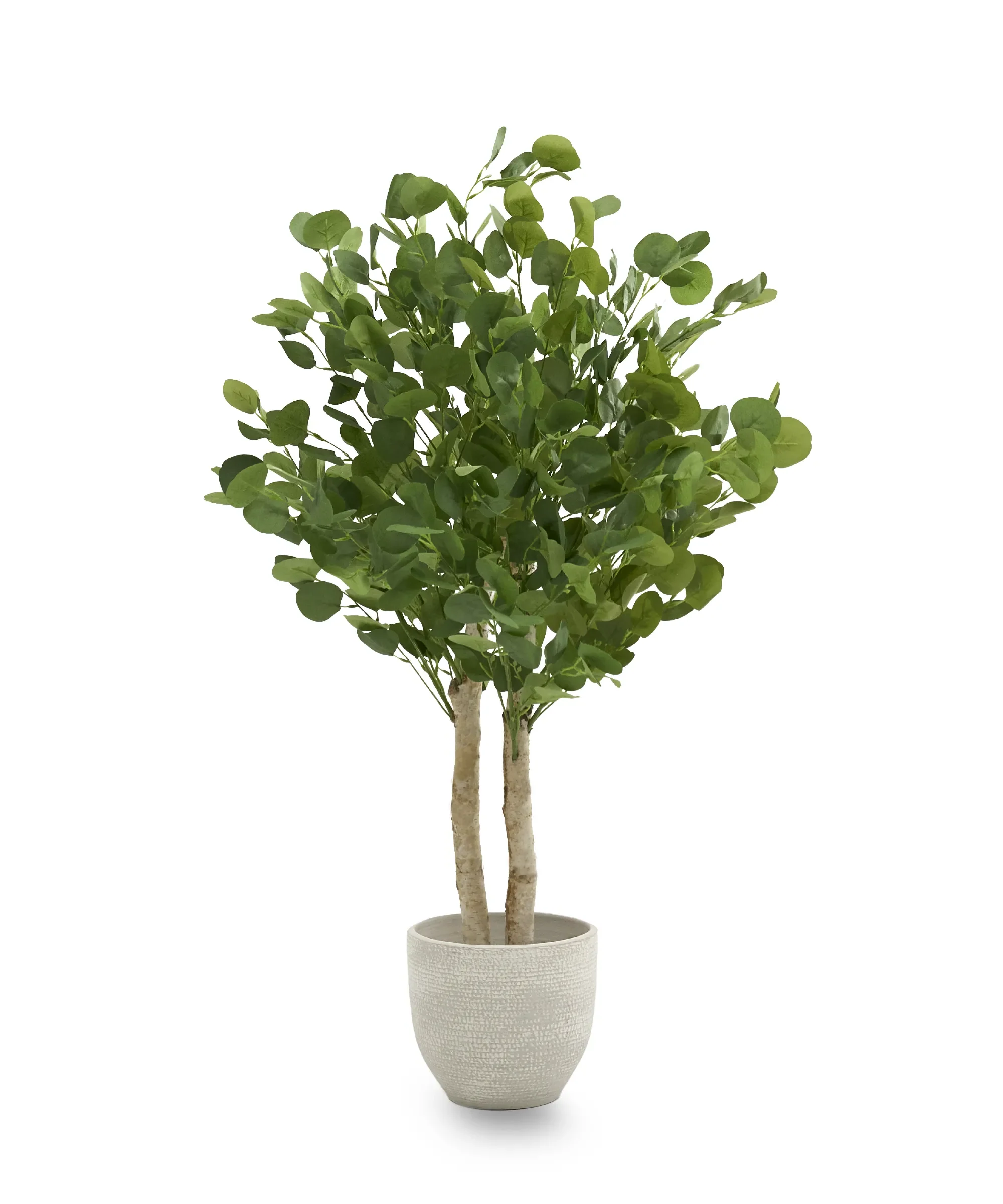 Eucalipto Artificial - Image 6