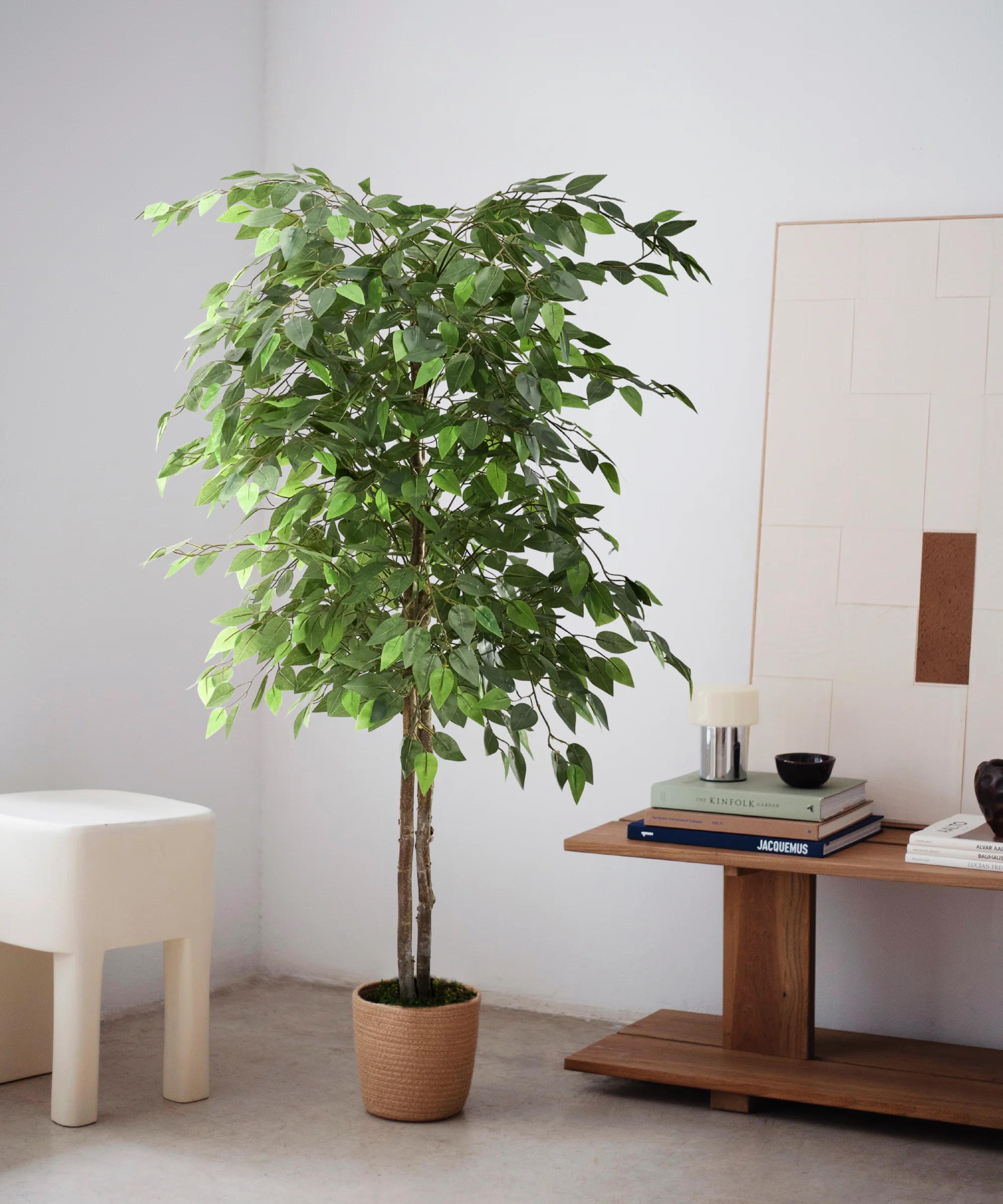 Ficus Artificial - Image 4
