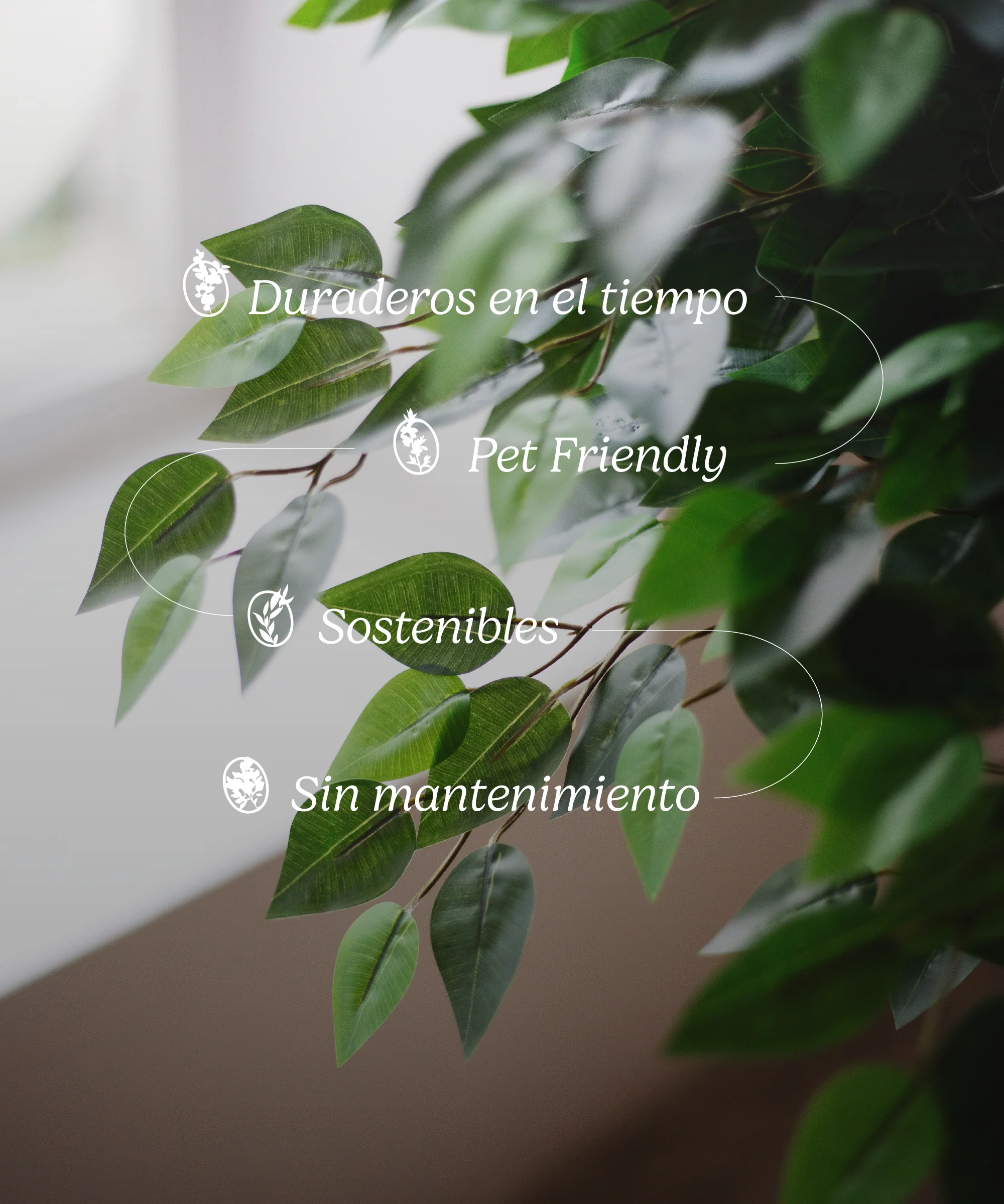 Ficus Artificial - Image 9