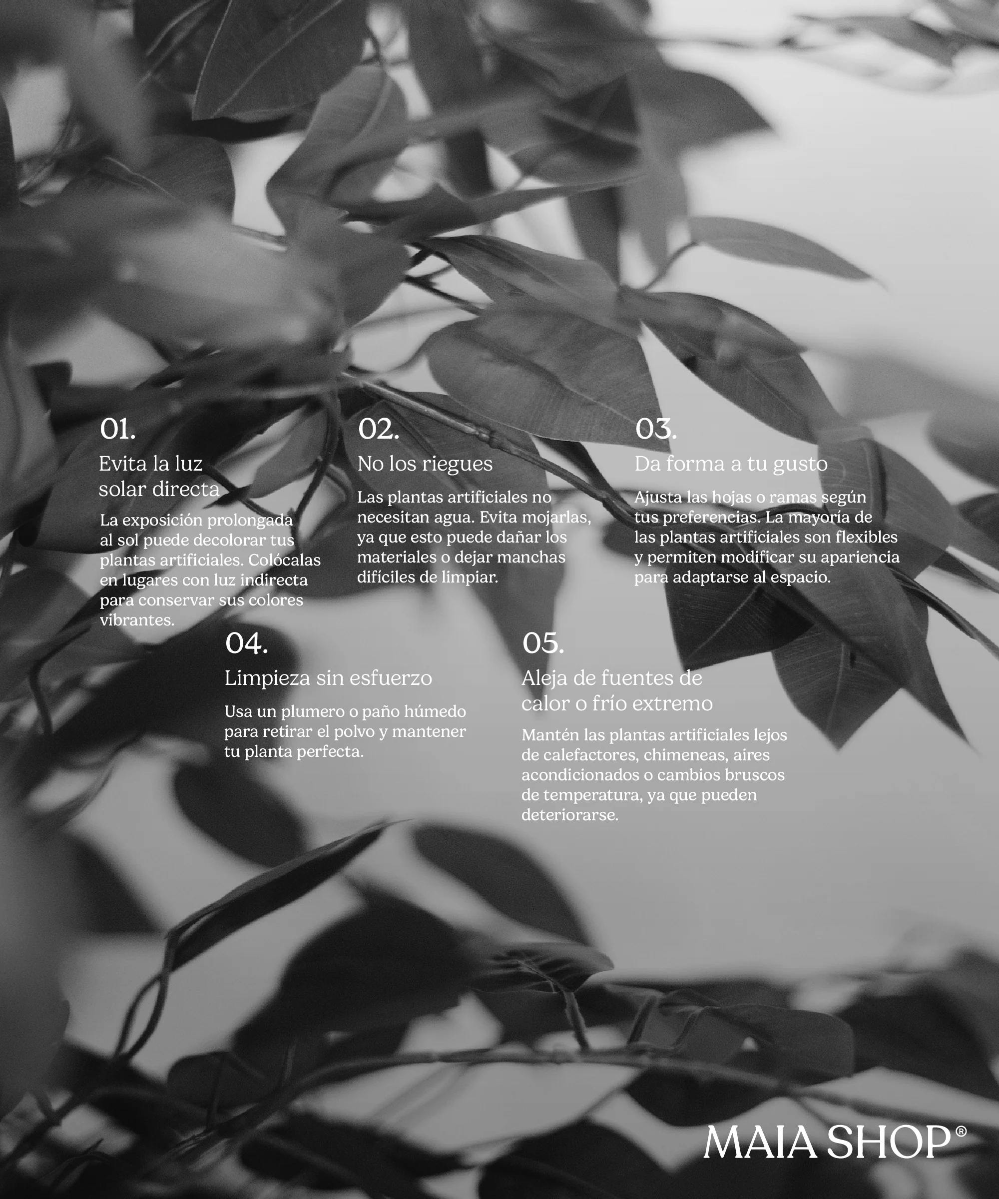 Ficus Artificial - Image 10