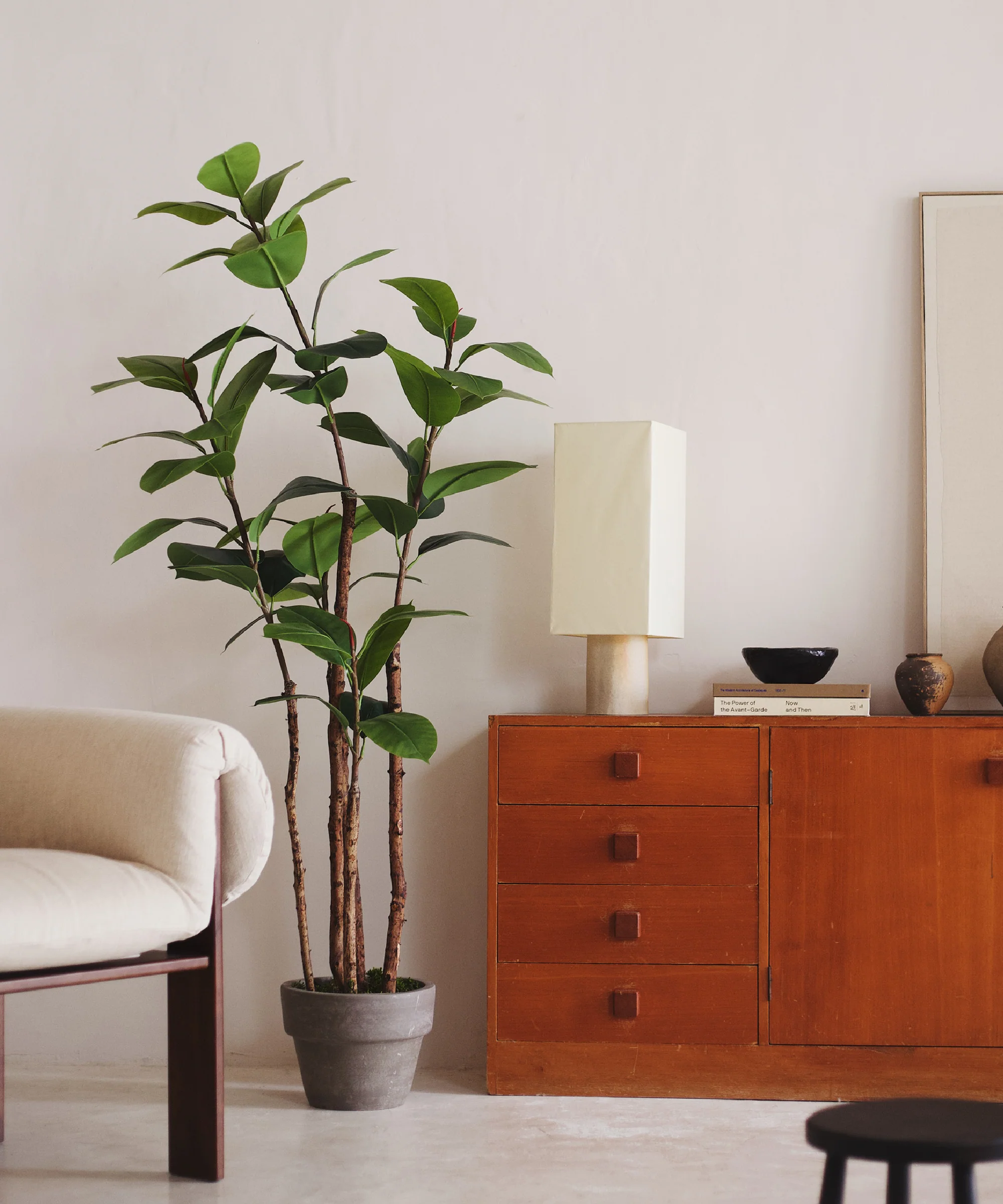 Ficus Elástica artificial