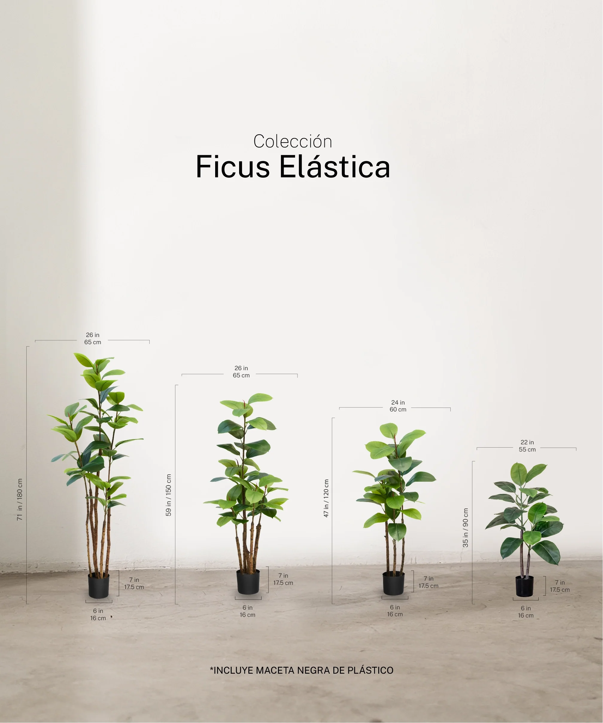 Ficus Elástica artificial - Image 2