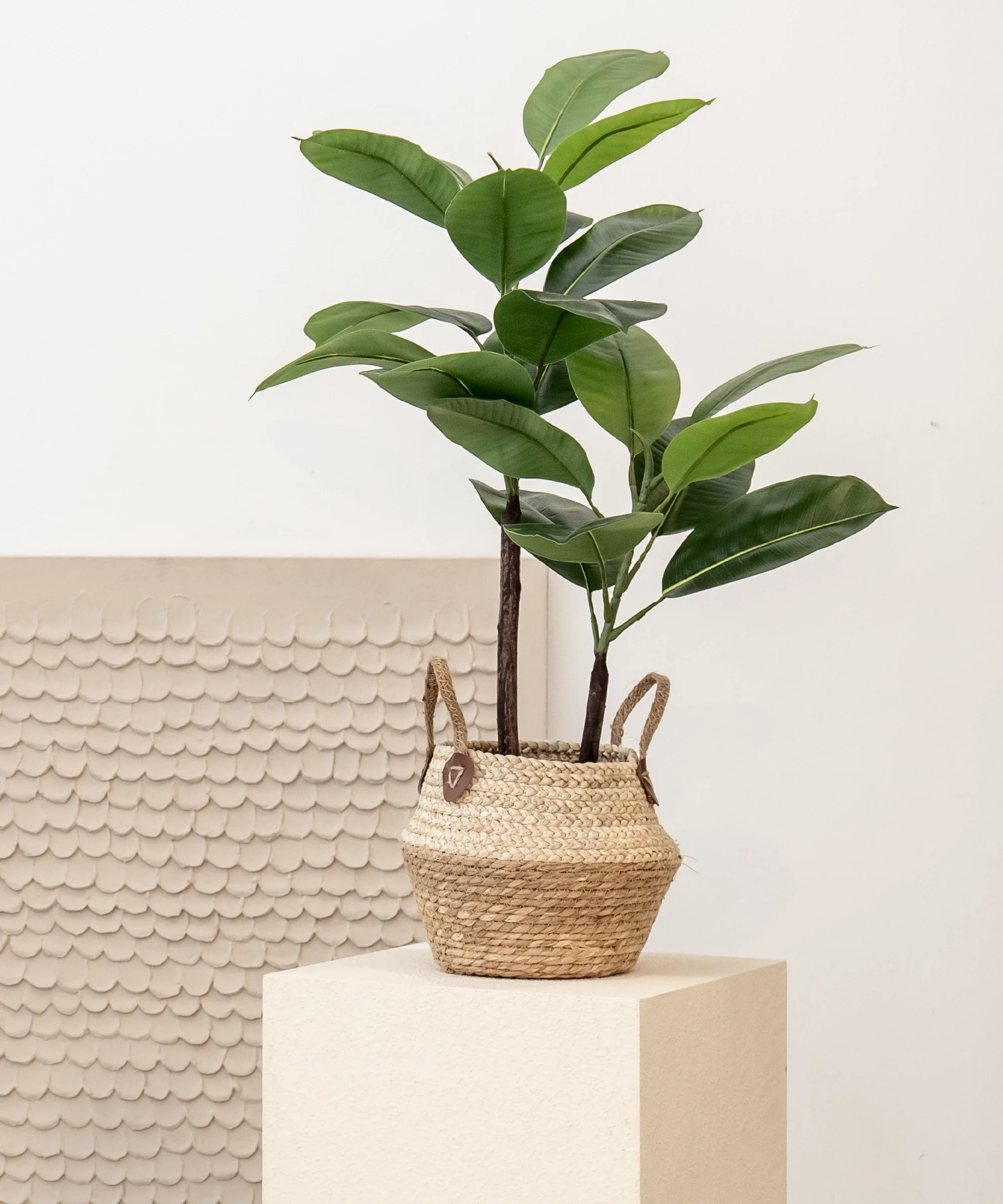 Ficus Elástica artificial - Image 5