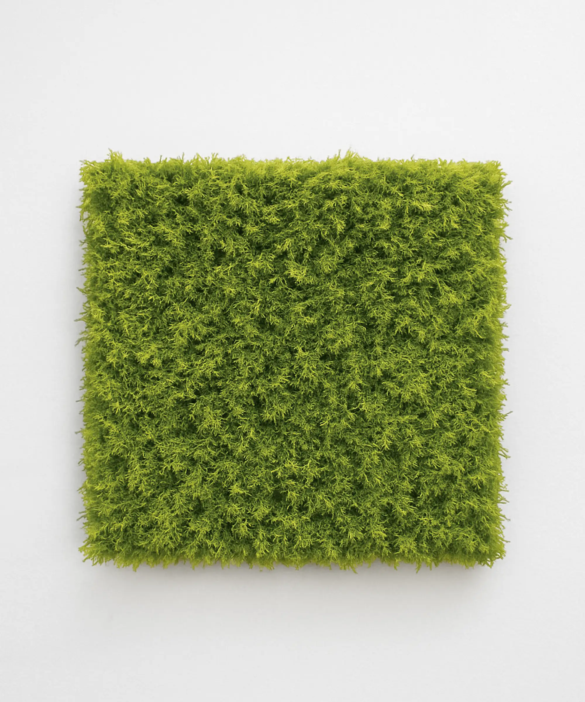 Jardín Vertical Artificial Mira 50x50 cm - Image 3