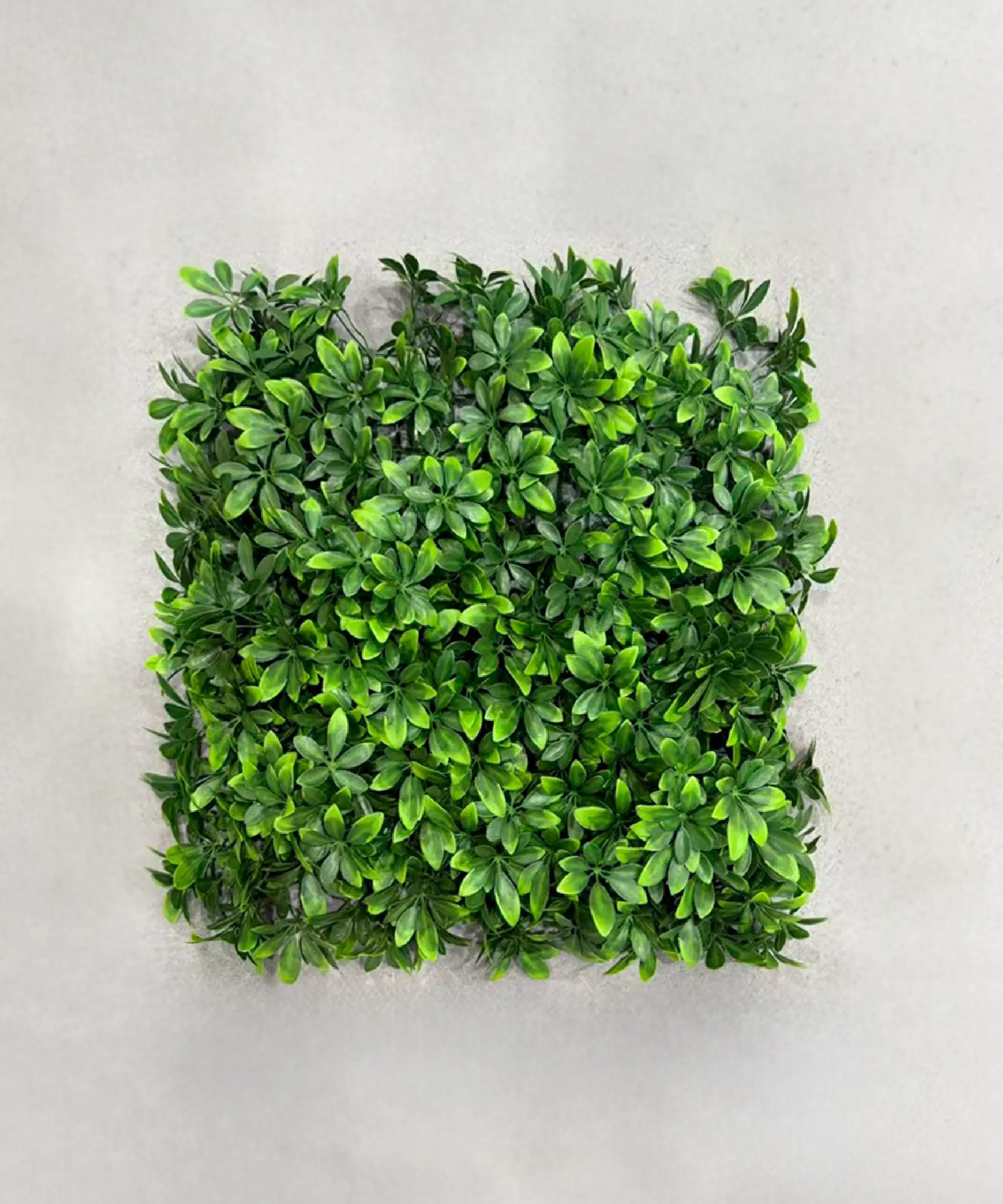 Jardín Vertical Artificial Vera 50x50 cm - Image 3