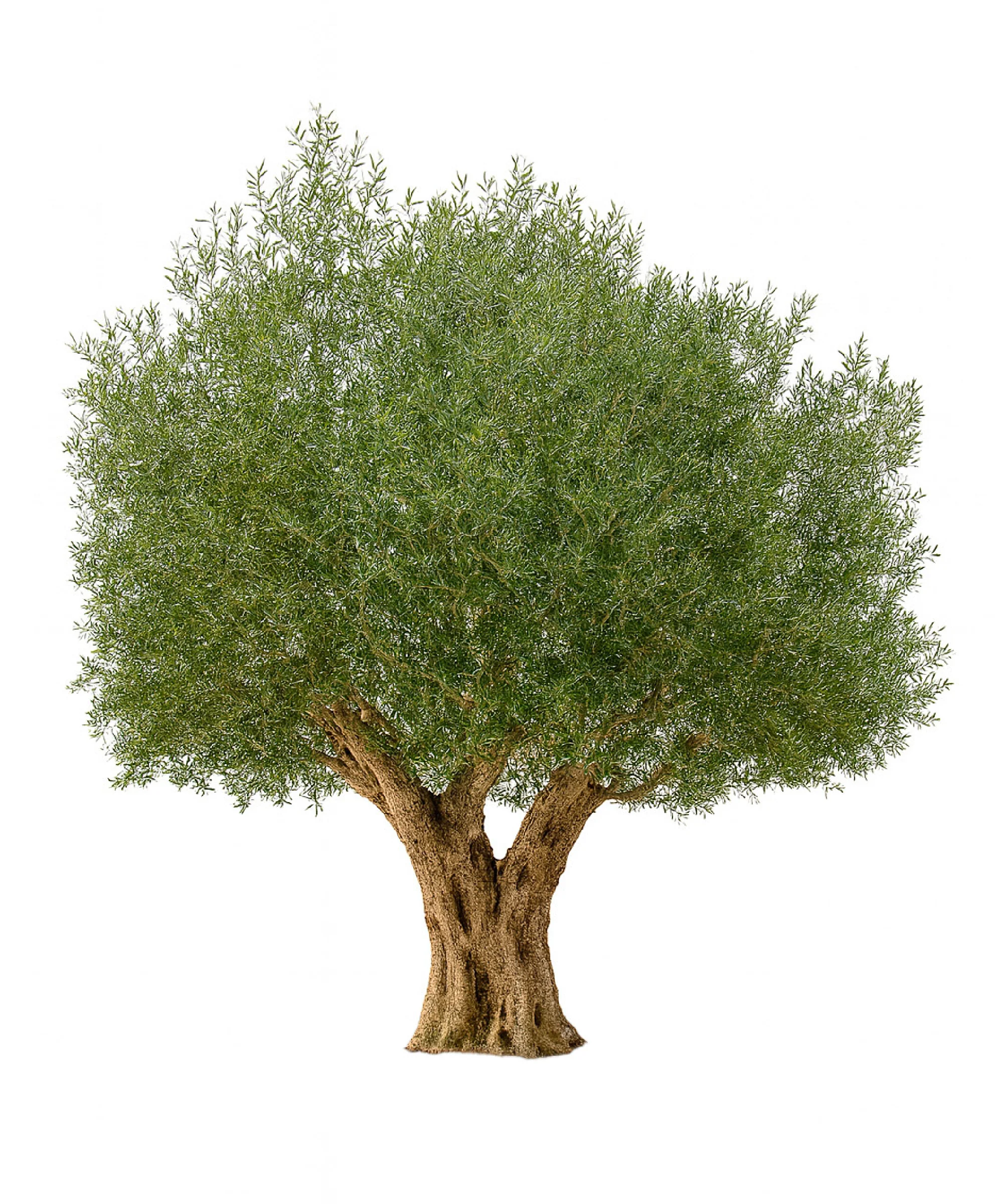 Olivo artificial 2,60 m - Image 2