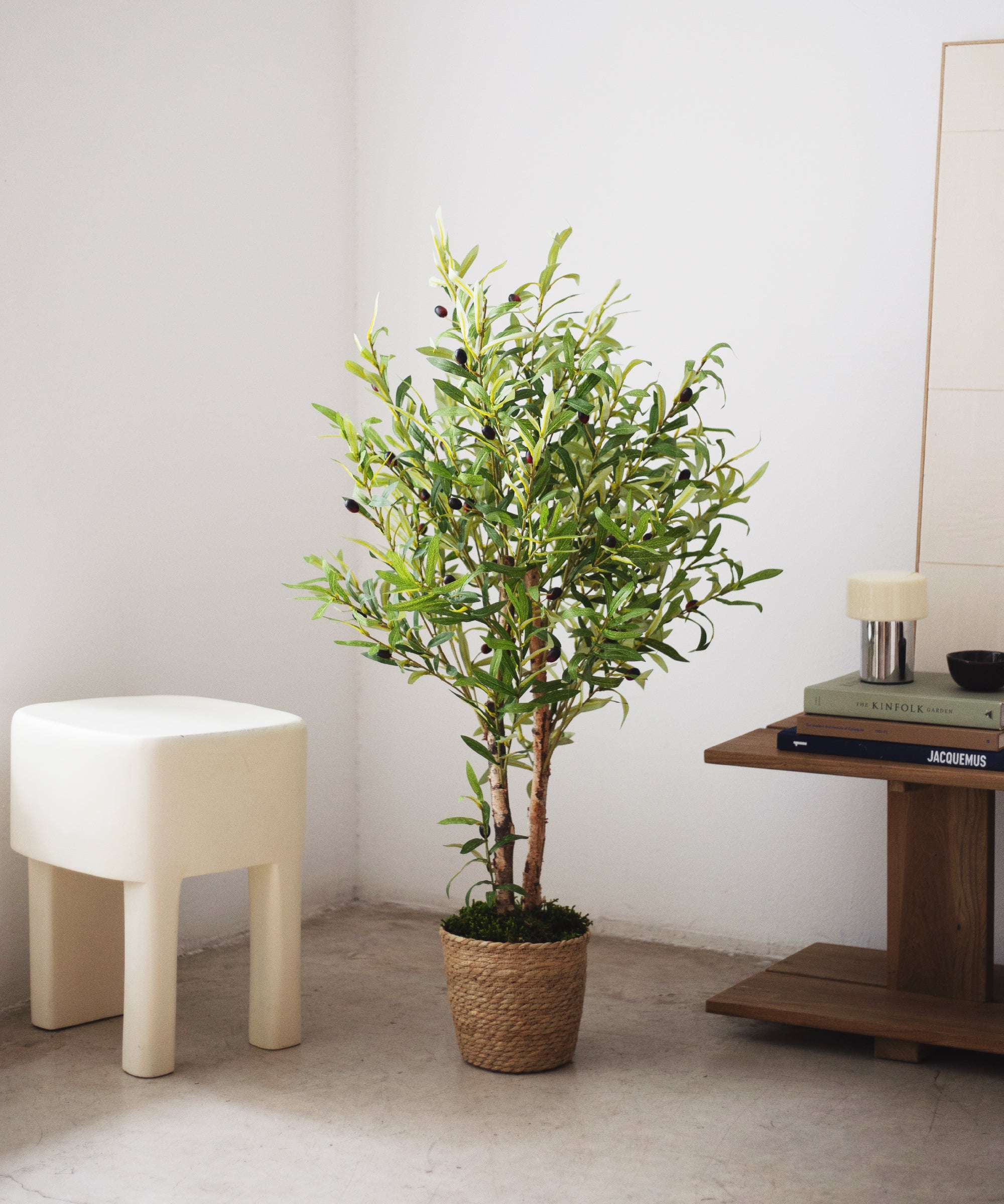 Olivo Artificial - Image 5