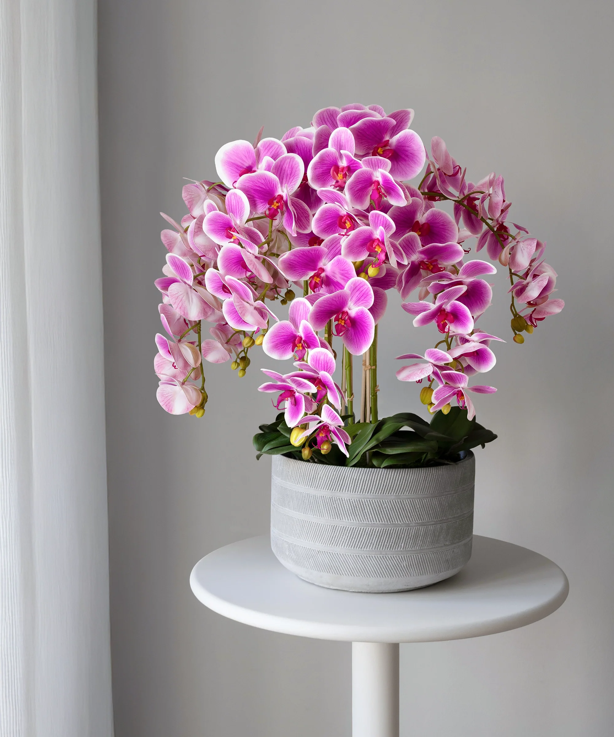 Orquídea artificial con Maceta de cerámica Lina - Image 3