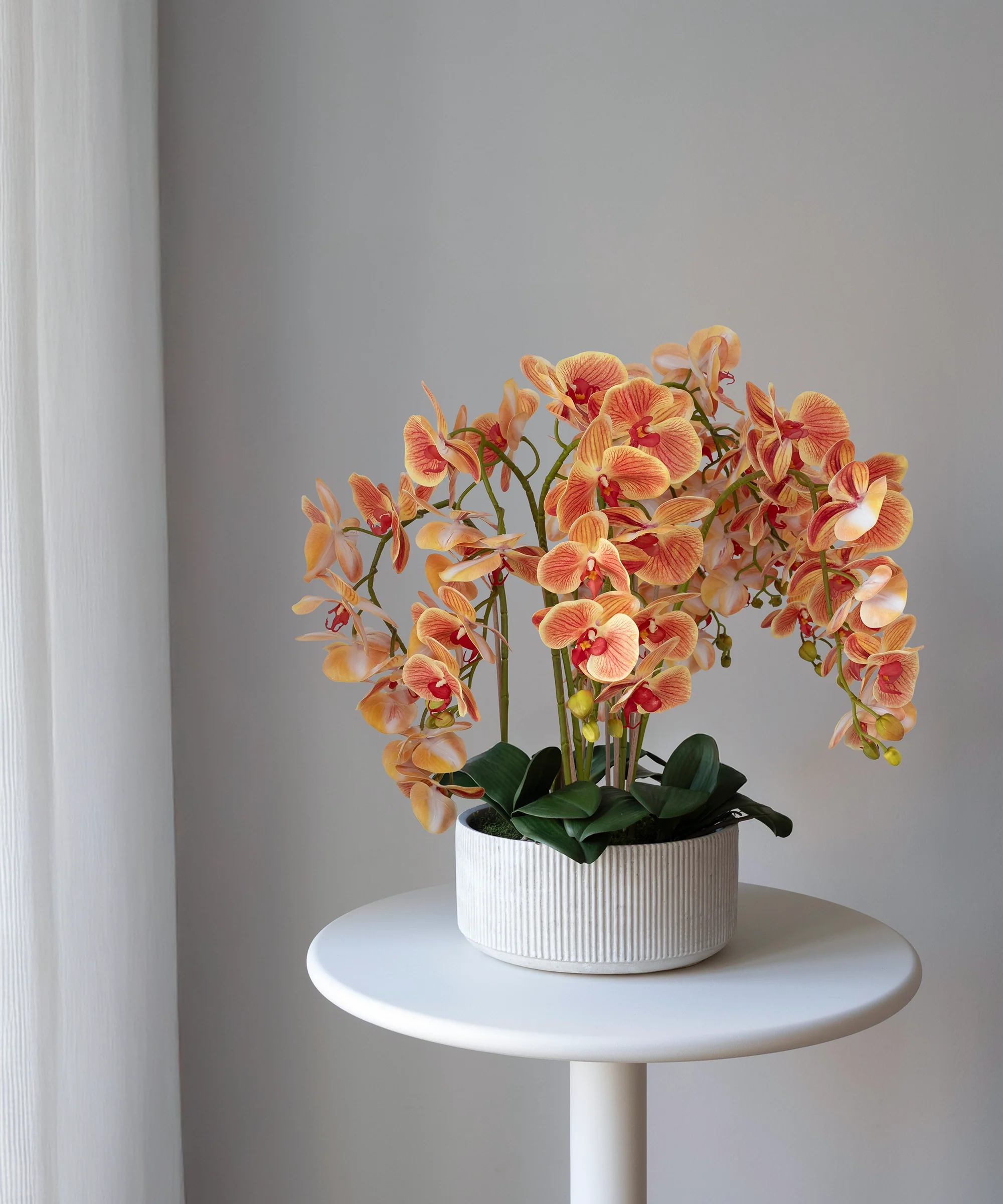 Orquídea artificial con Maceta de cerámica Mila - Image 3