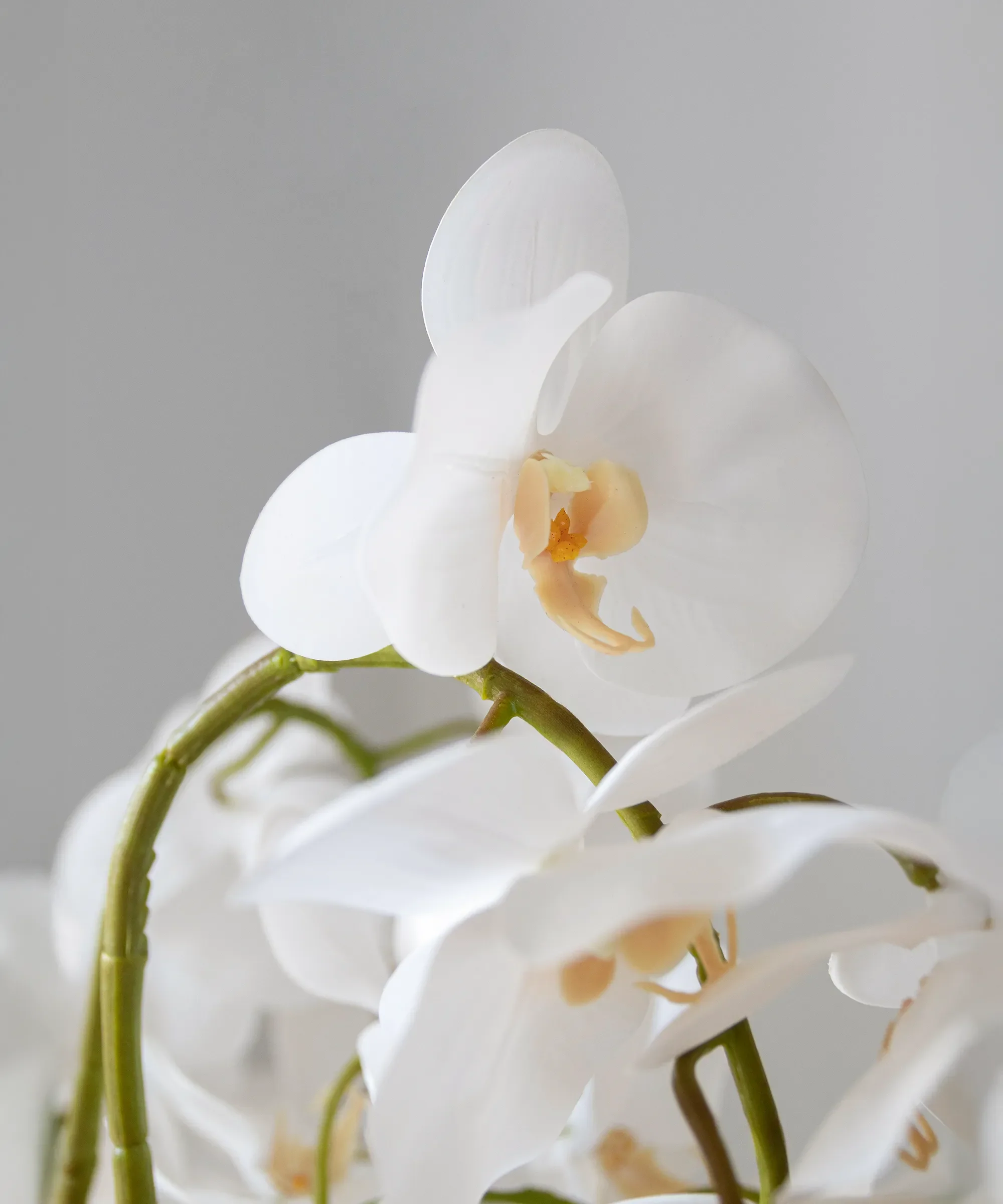Orquídea artificial con Maceta de cerámica Mila - Image 5