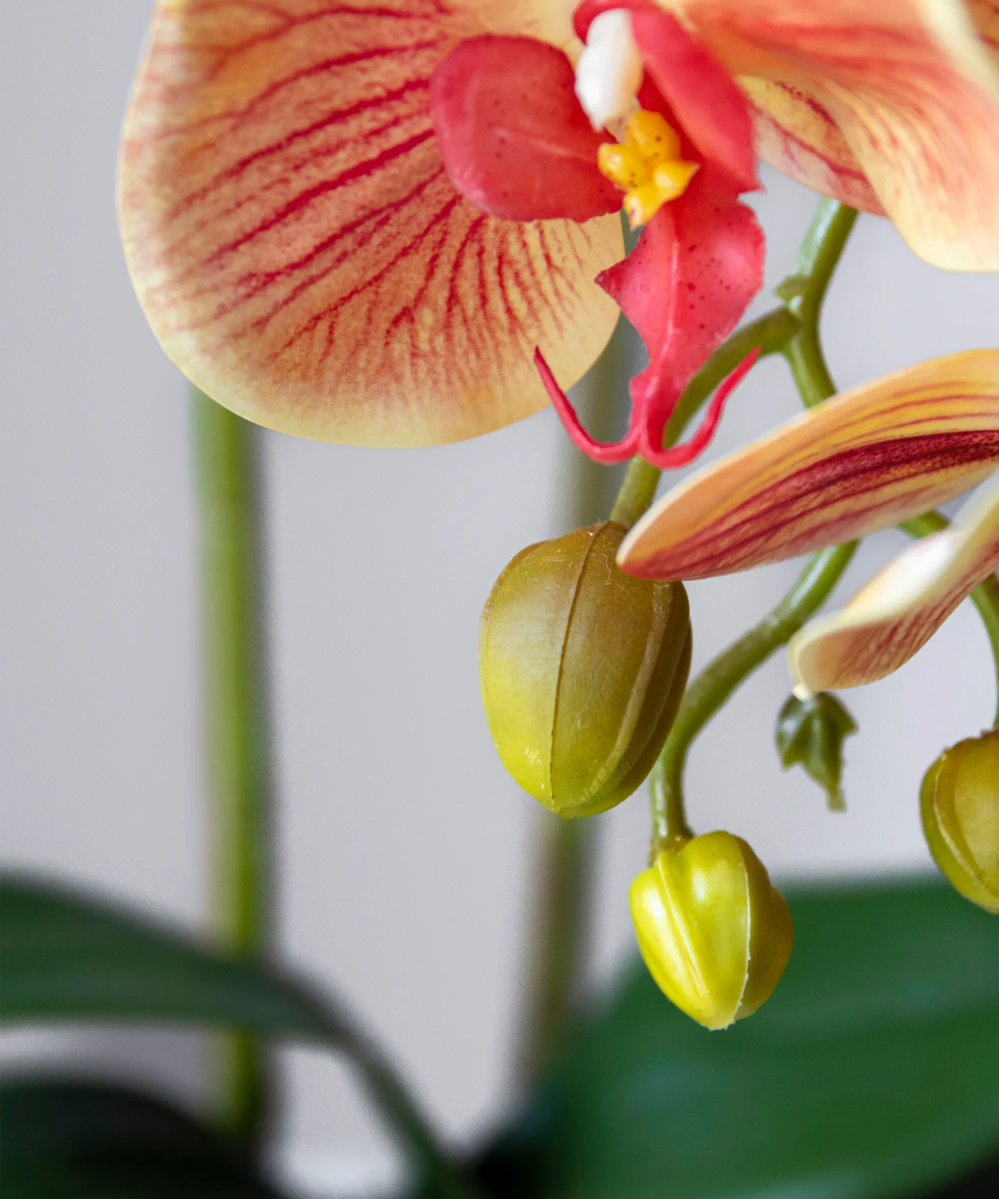 Orquídea artificial con Maceta de cerámica Noa - Image 10