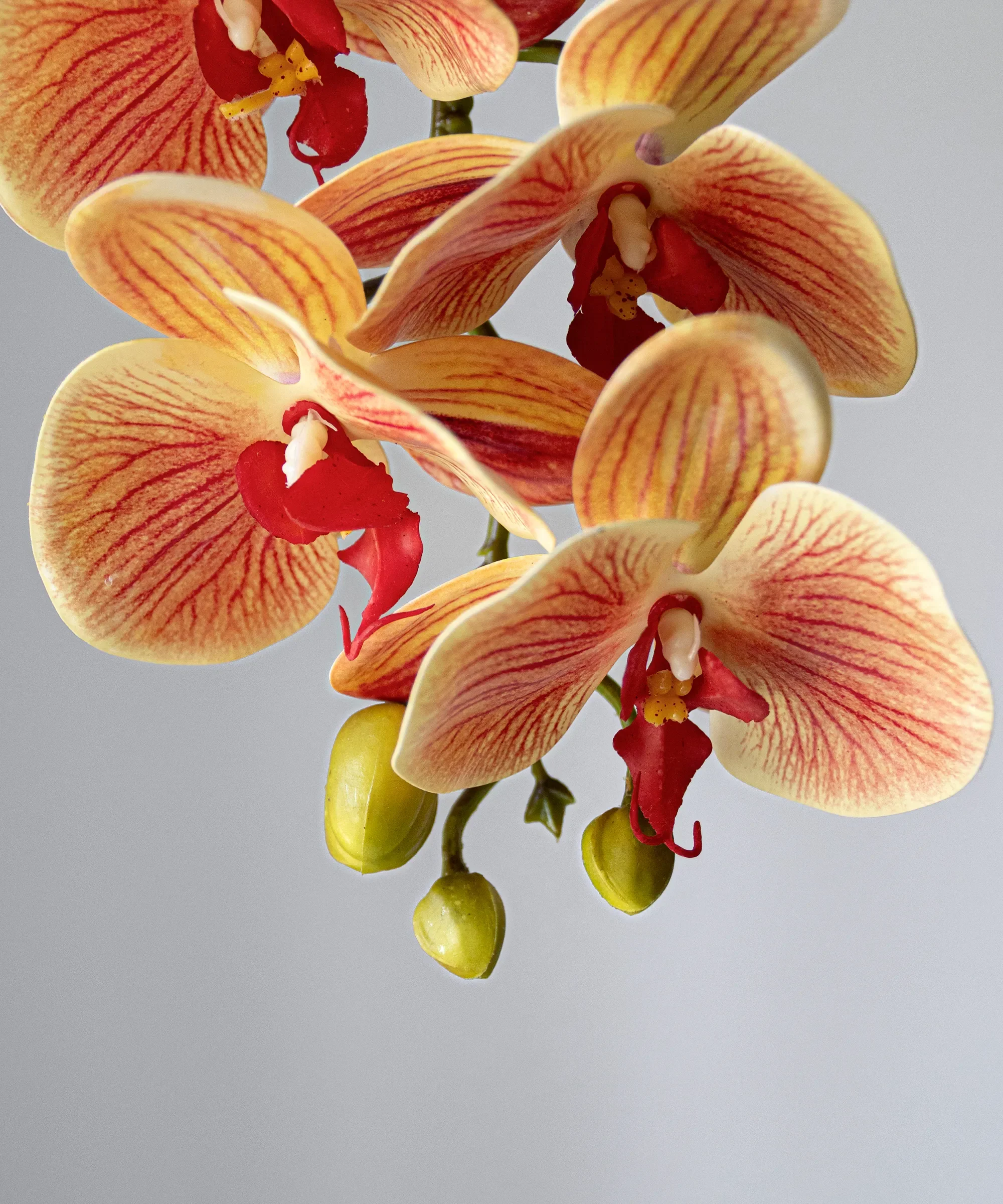 Orquídea artificial con Maceta de cerámica Noa - Image 11