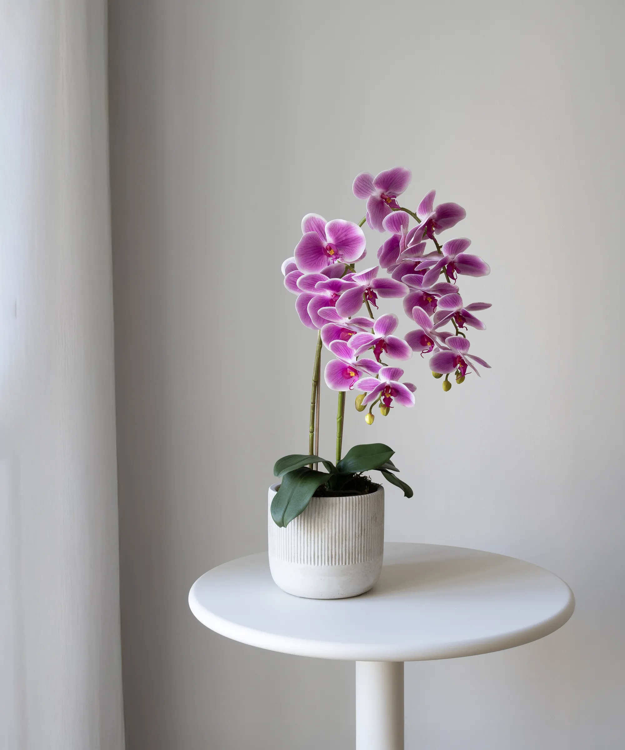 Orquídea artificial con Maceta de cerámica Noa - Image 3