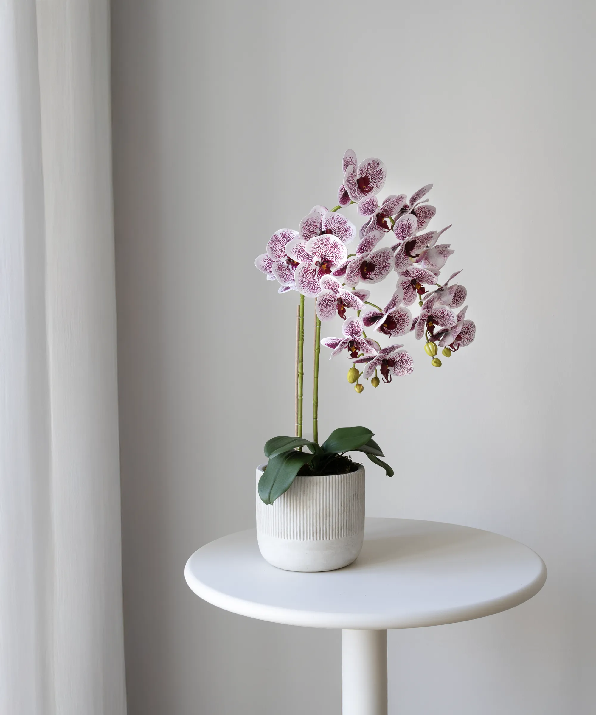 Orquídea artificial con Maceta de cerámica Noa - Image 4