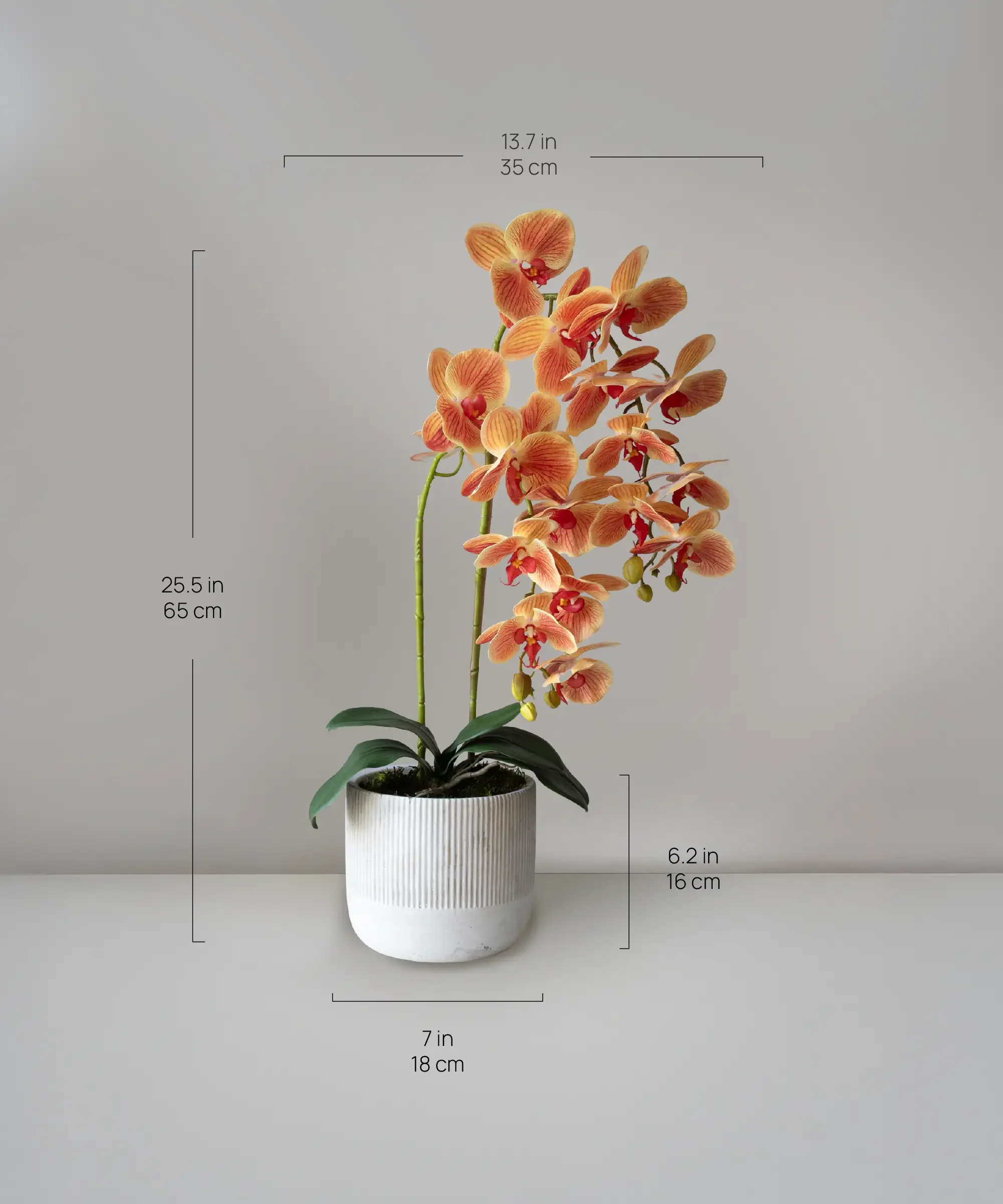 Orquídea artificial con Maceta de cerámica Noa - Image 9