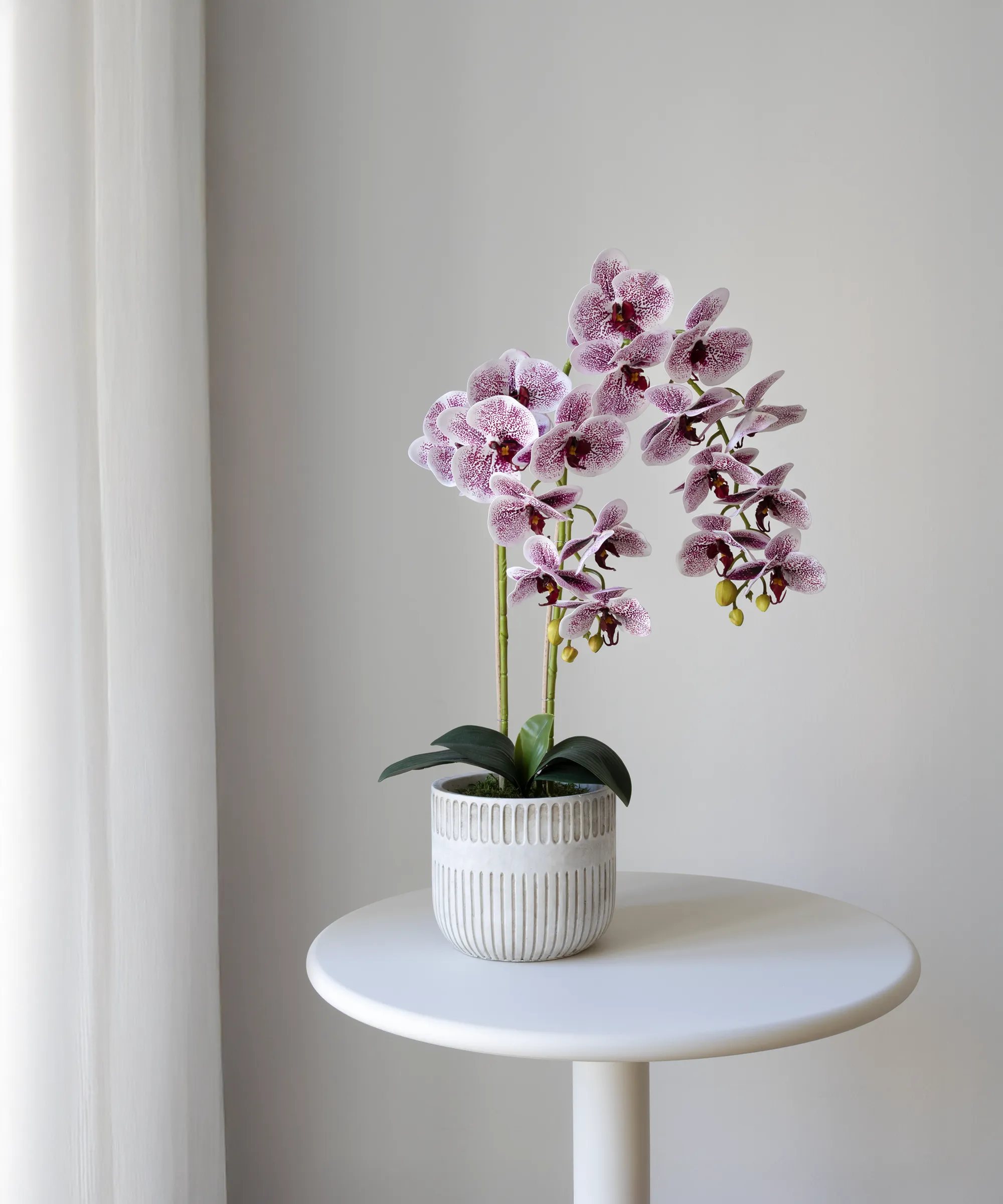 Orquídea artificial con Maceta de cerámica Royal - Image 4
