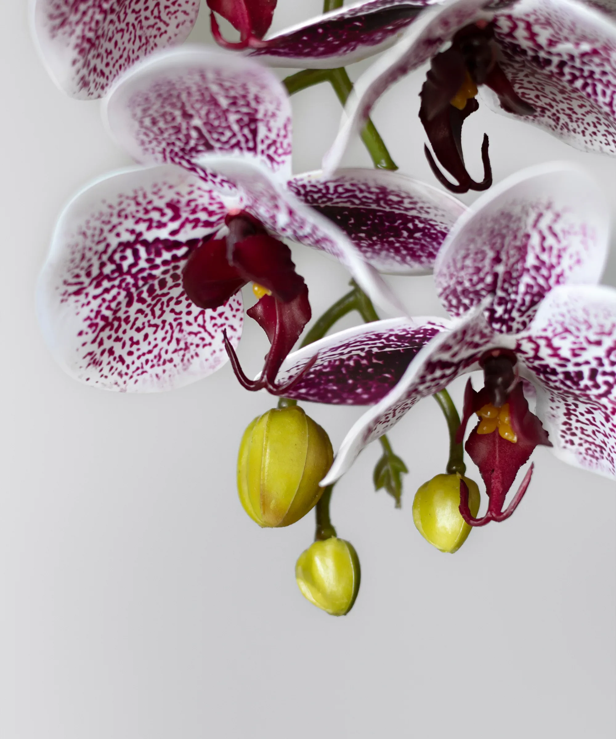 Orquídea artificial con Maceta de cerámica Soft - Image 10