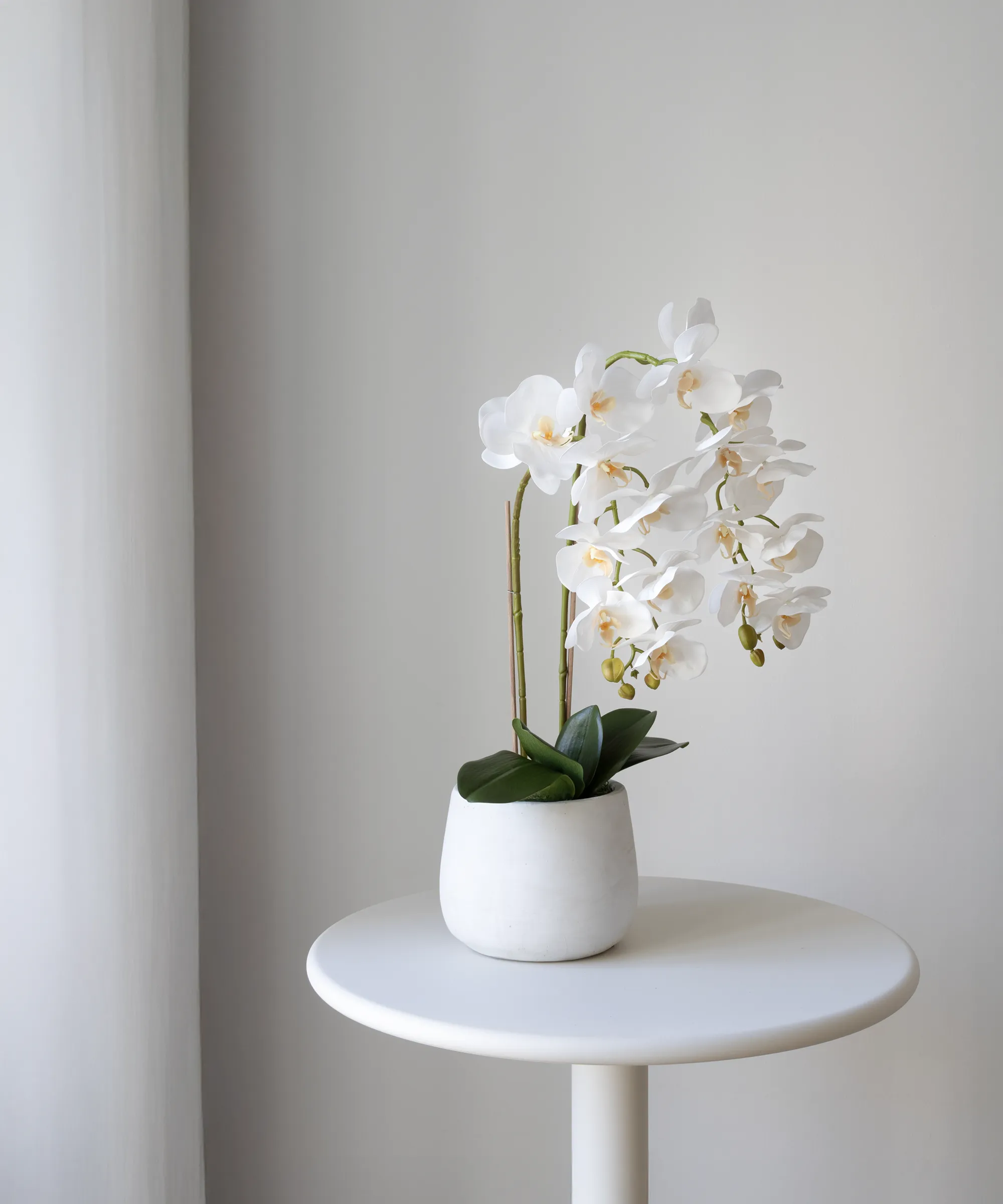 Orquídea artificial con Maceta de cerámica Soft - Image 3