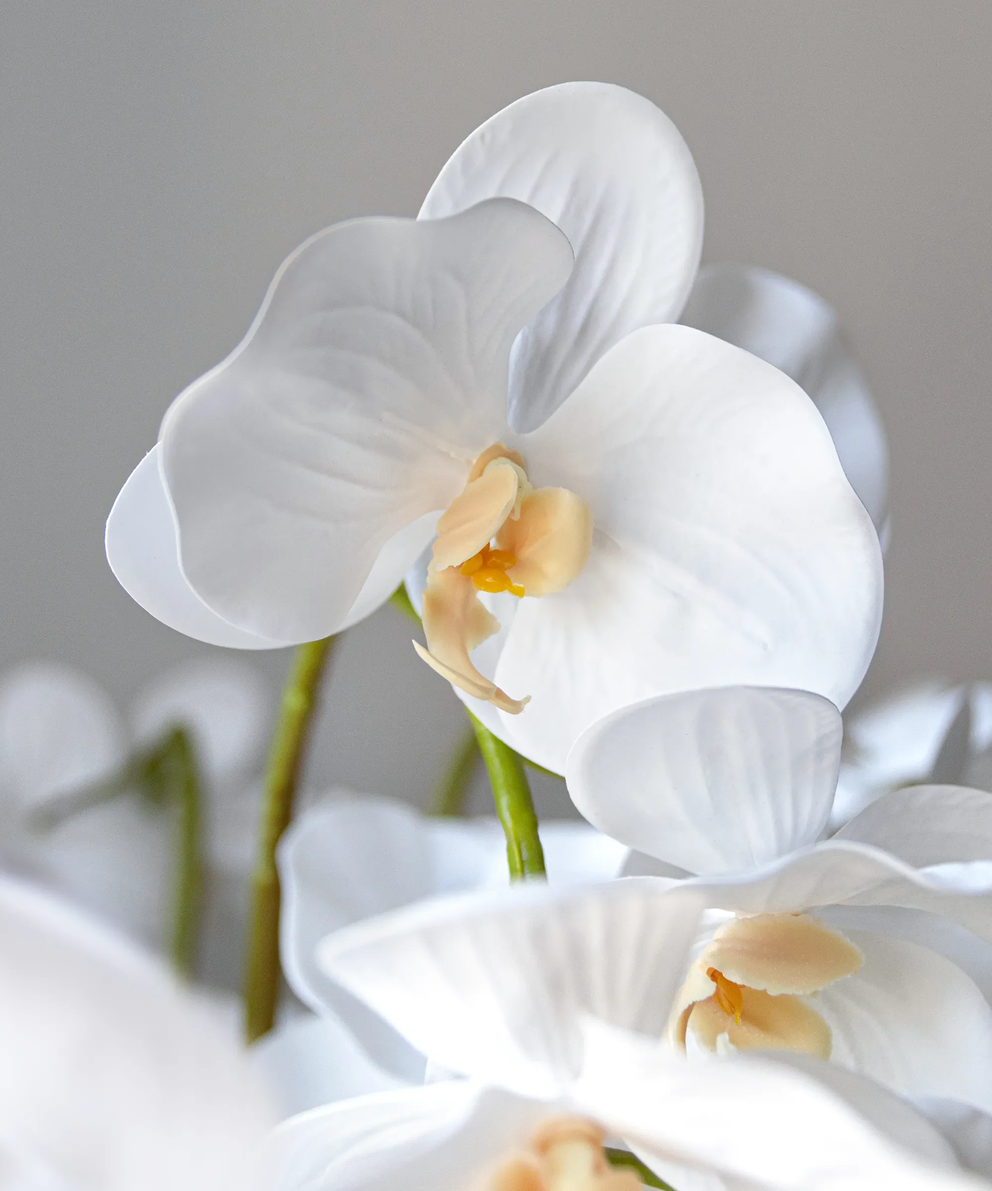 Orquídea artificial con Maceta de cerámica Soft - Image 7