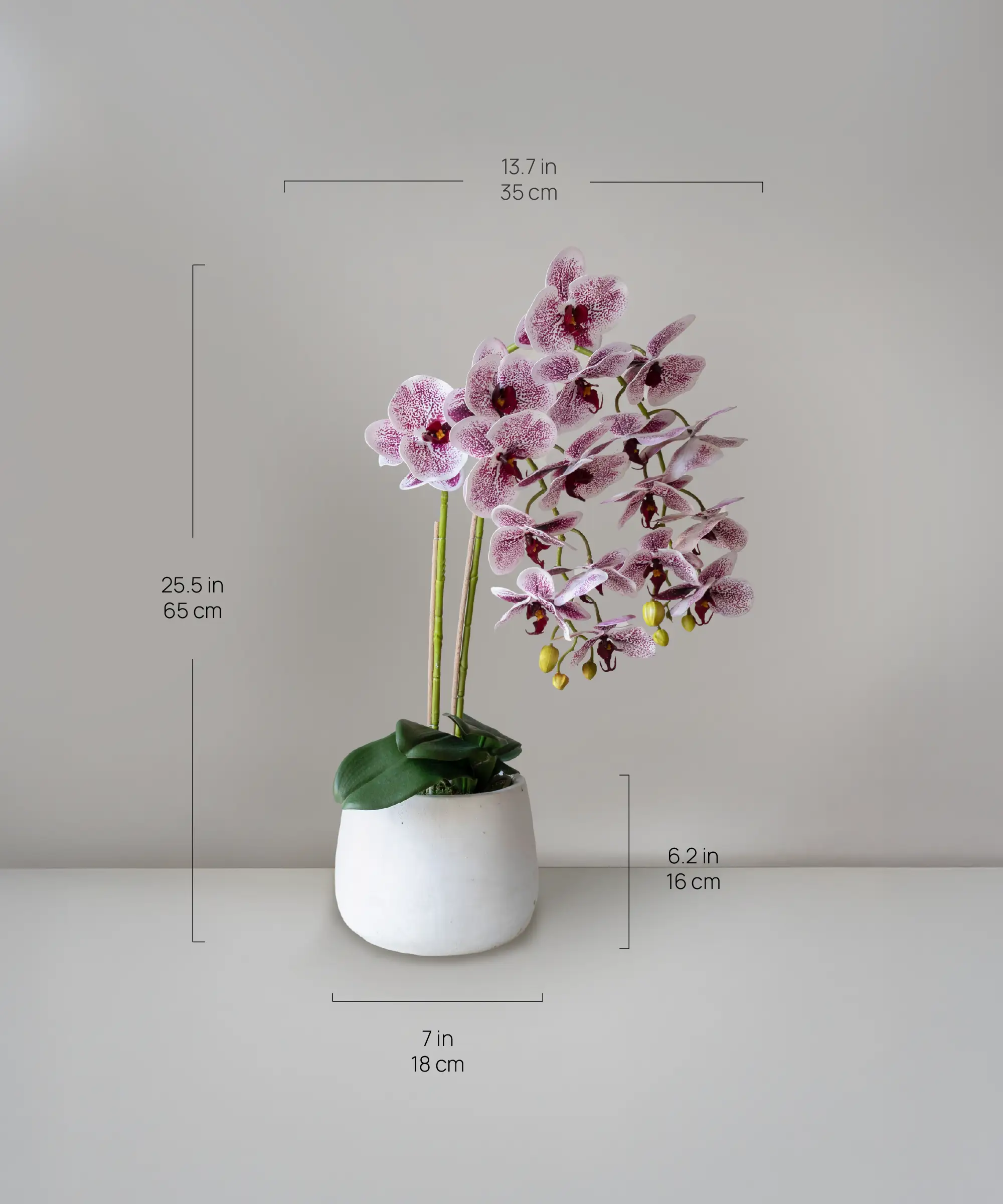 Orquídea artificial con Maceta de cerámica Soft - Image 9