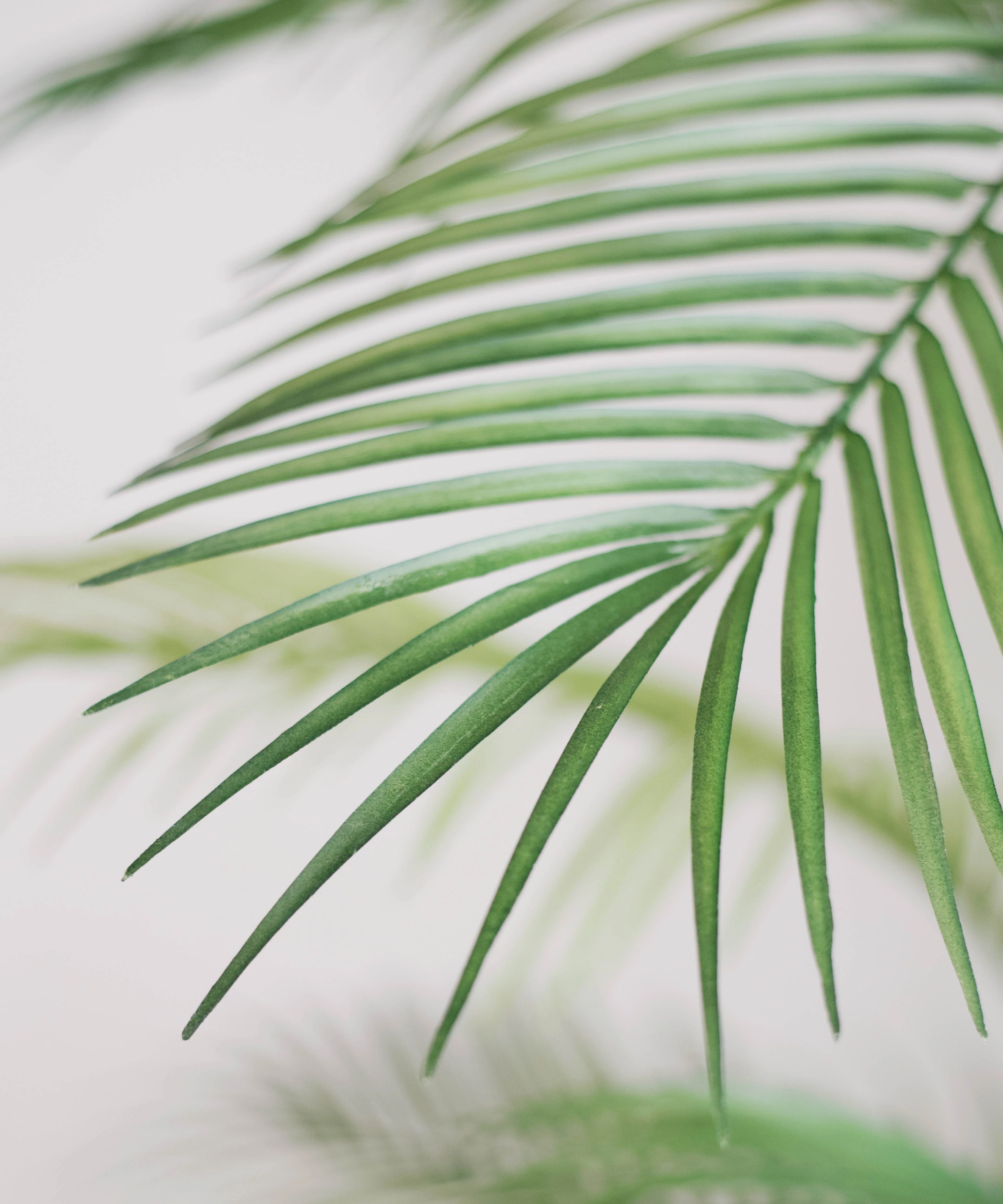 Palmera artificial - Image 3