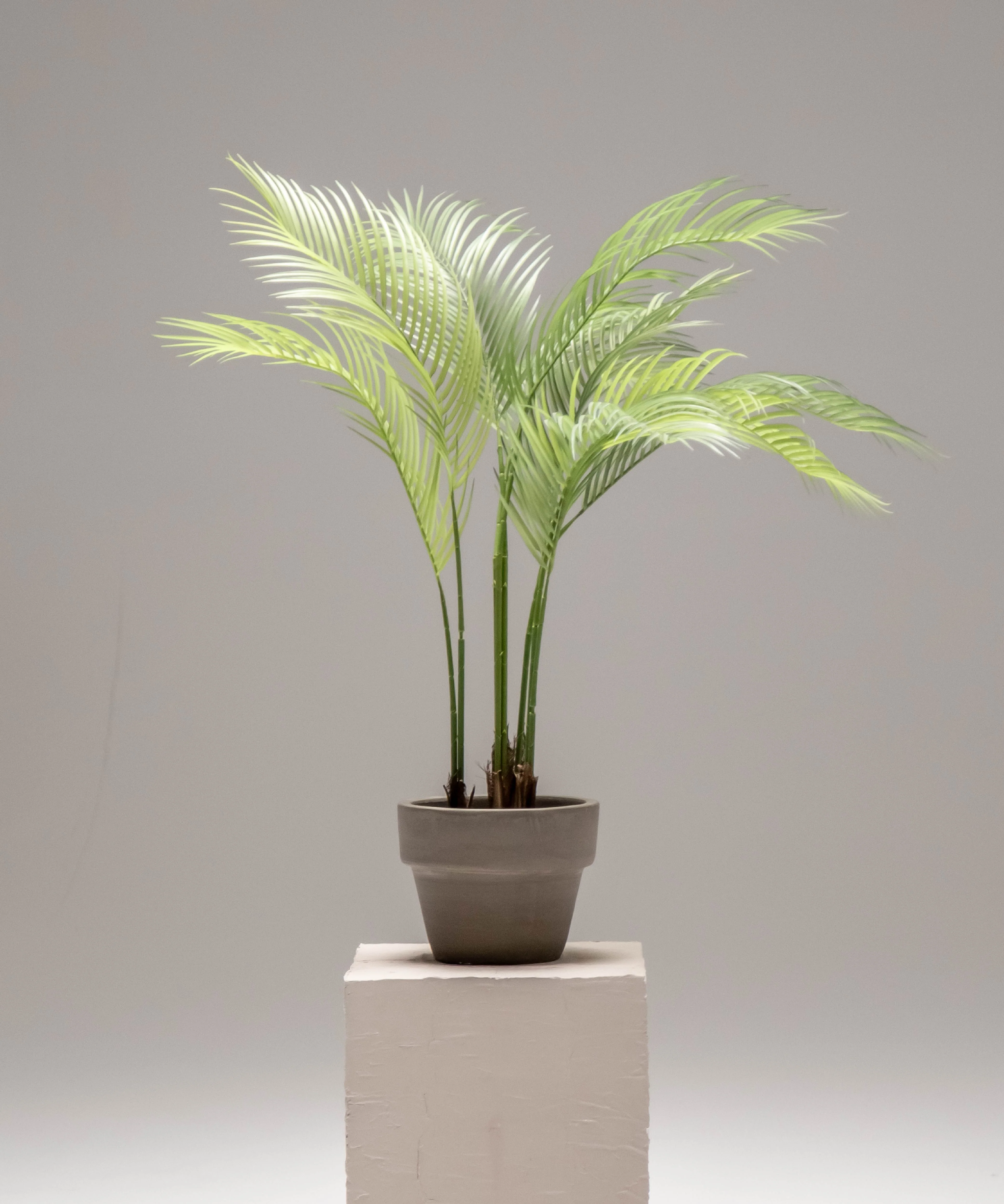 Palmera artificial - Image 6