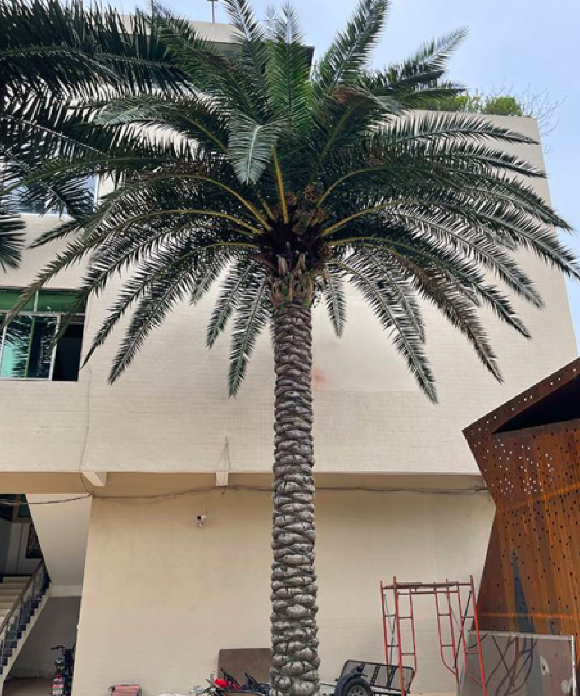 Palmera Artificial Datilera New Formosa 3m – 30m
