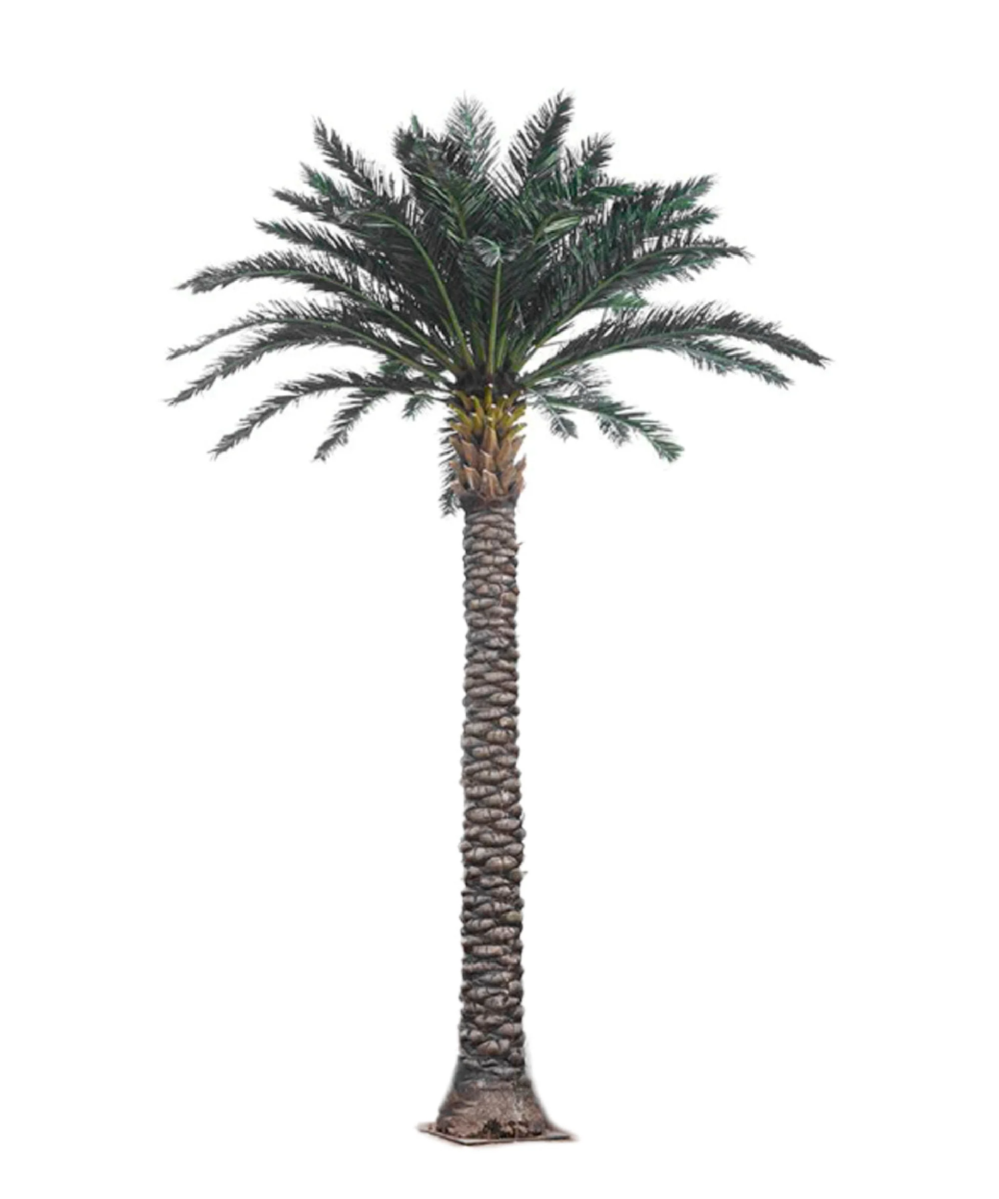 Palmera Artificial Datilera New Formosa 3m – 30m - Image 2