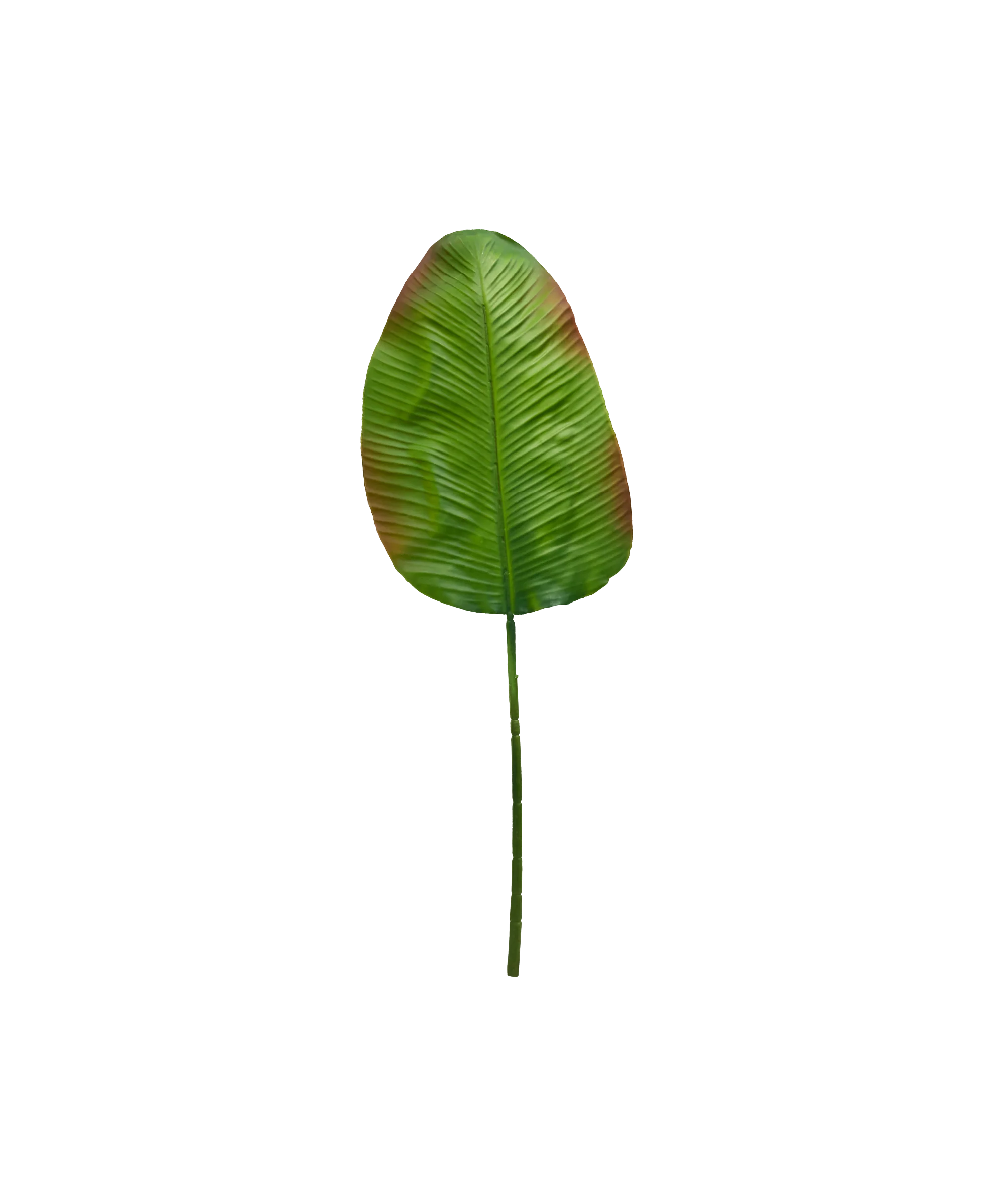 Hoja Artificial Heliconia - Image 3