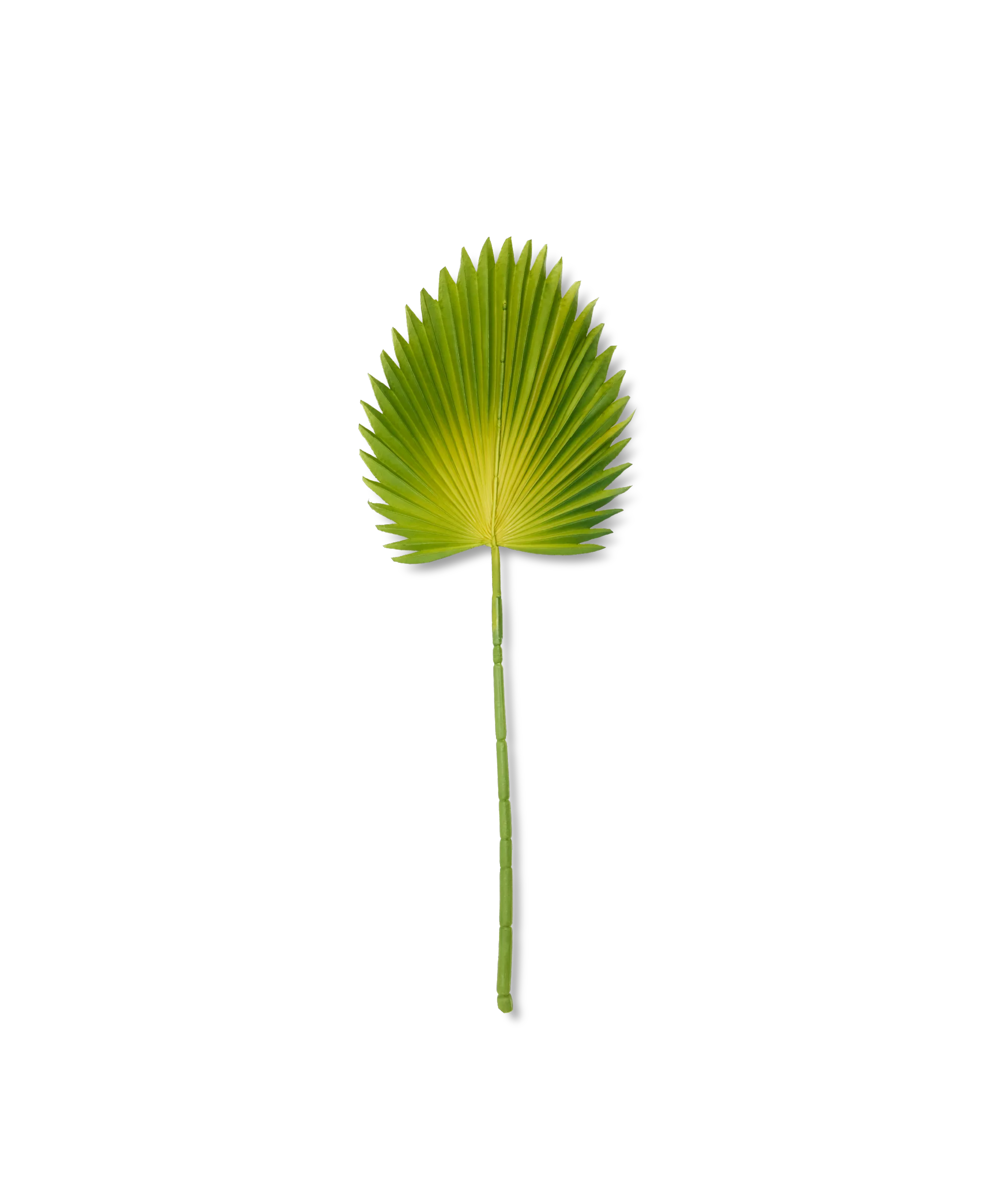 Hoja Artificial Palma - Image 3
