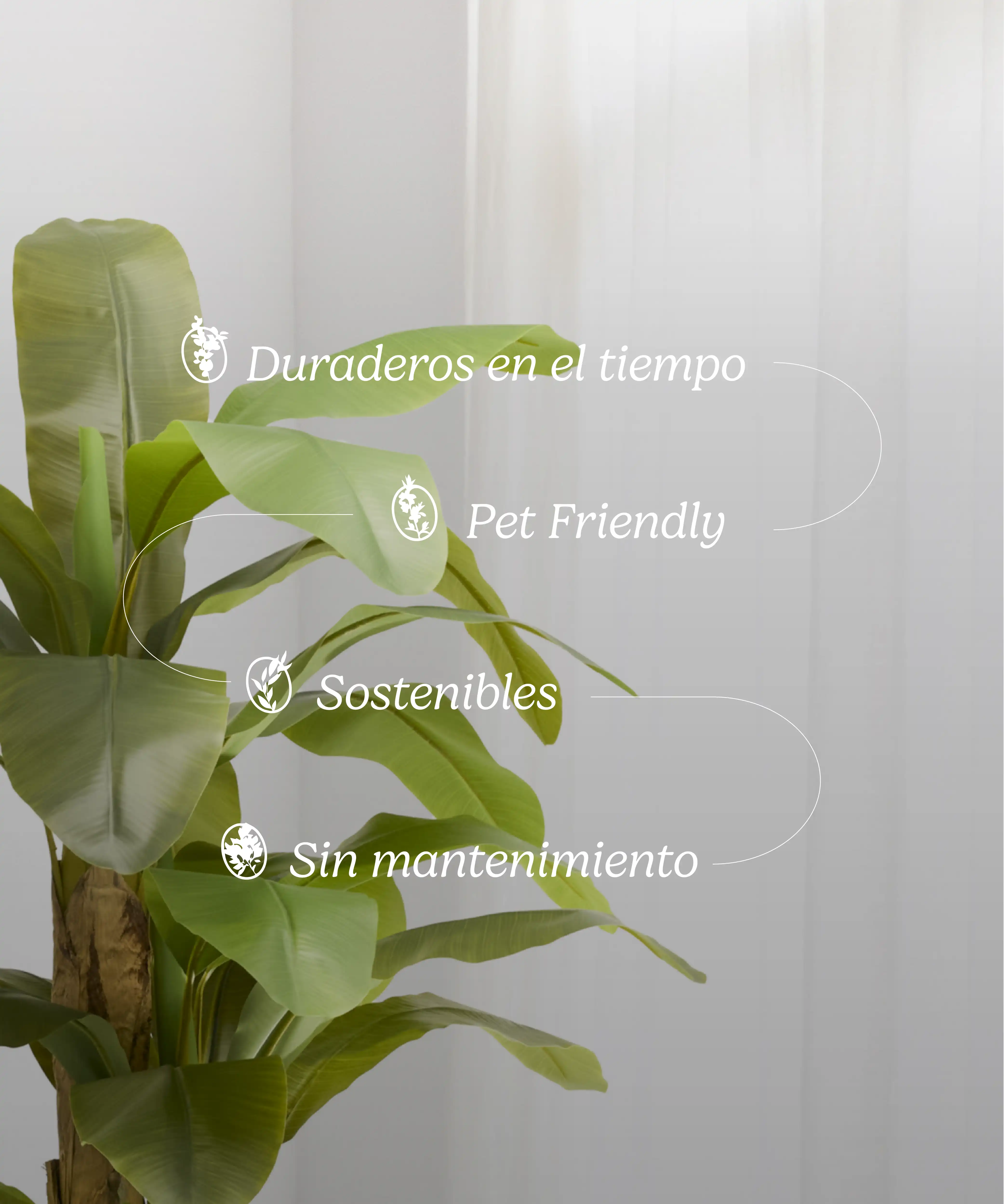 Platanera Artificial - Image 13