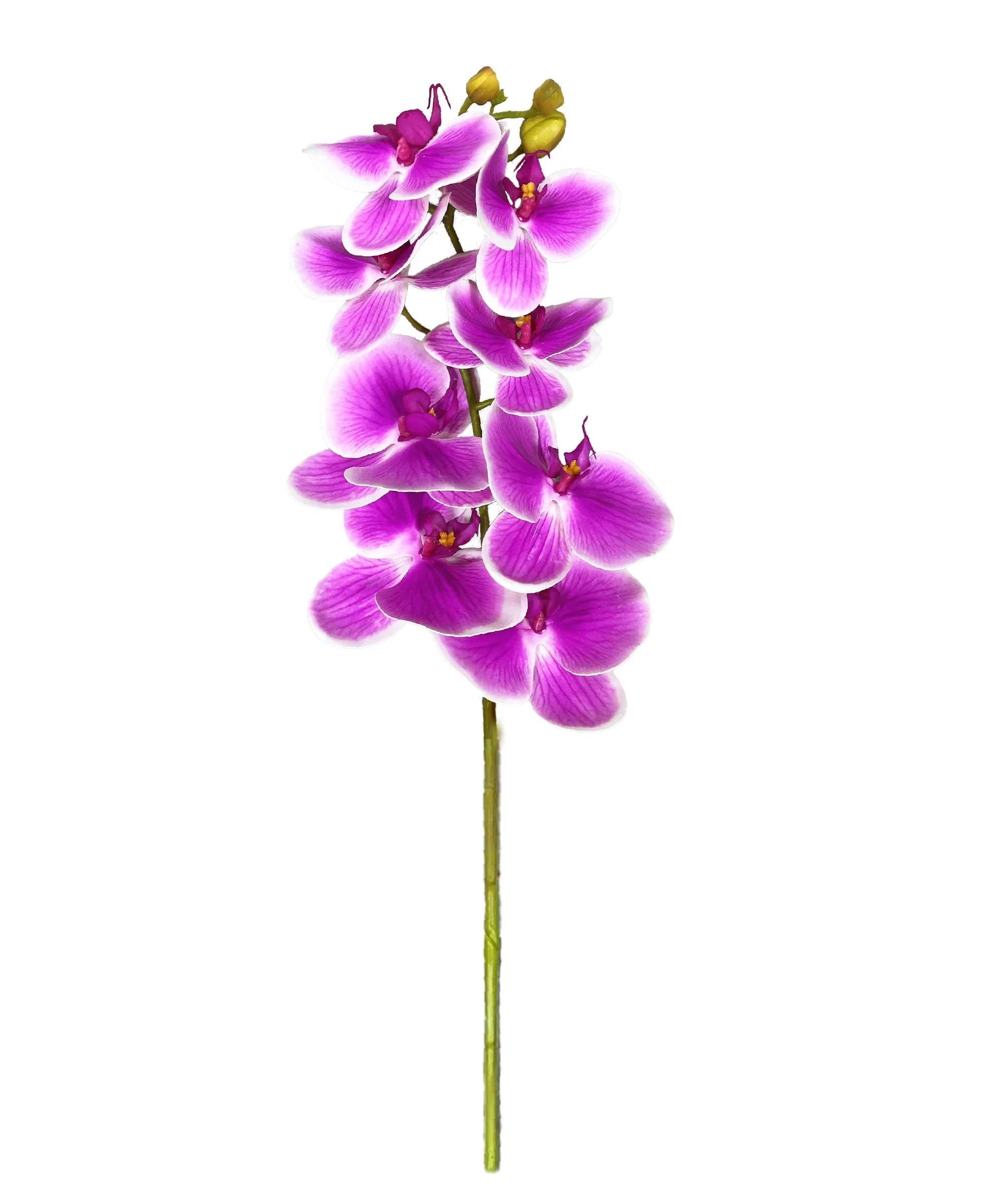 Ramas de Orquídea Artificial - Image 6