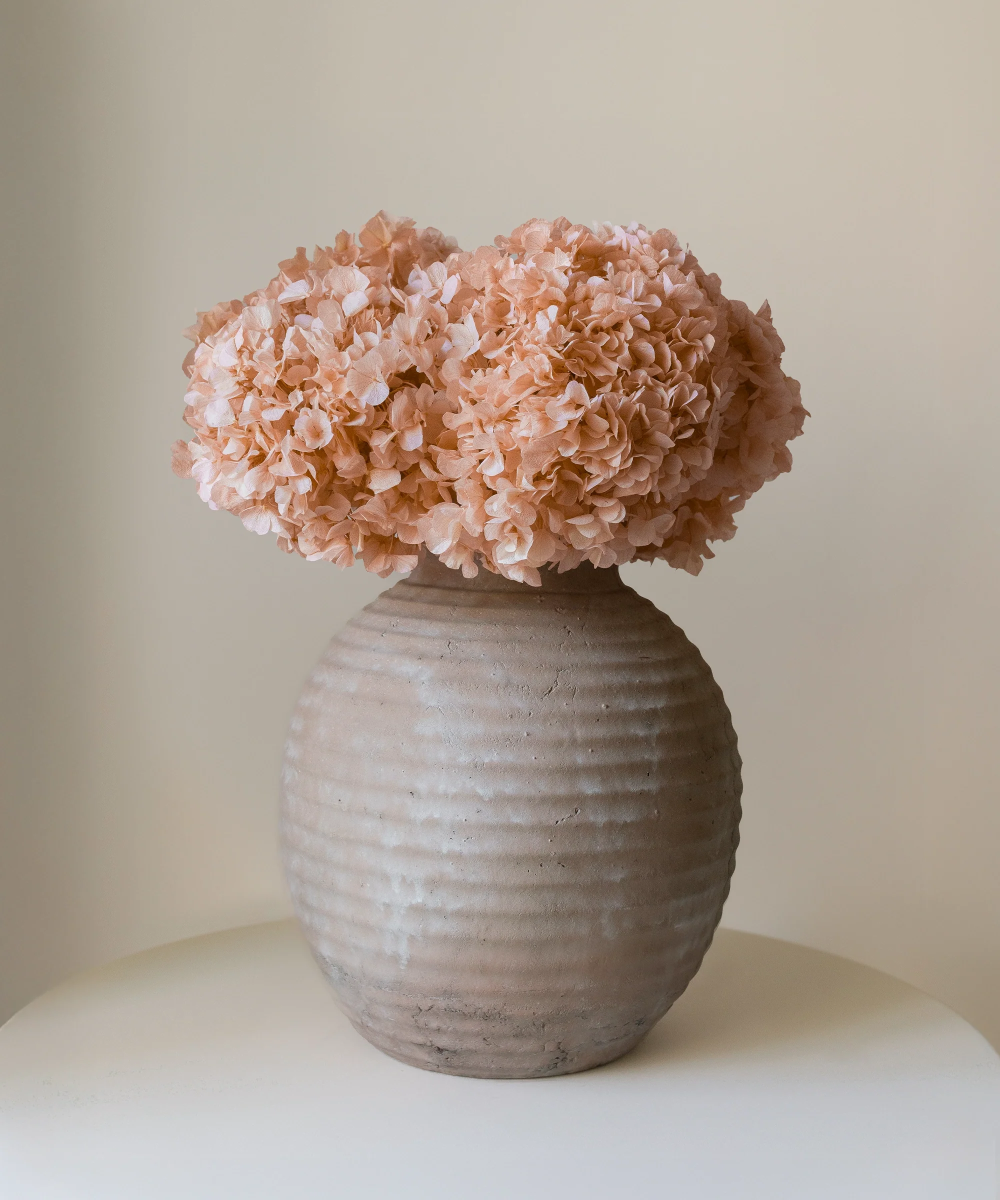 Ramo de Hortensias Preservadas - Image 4