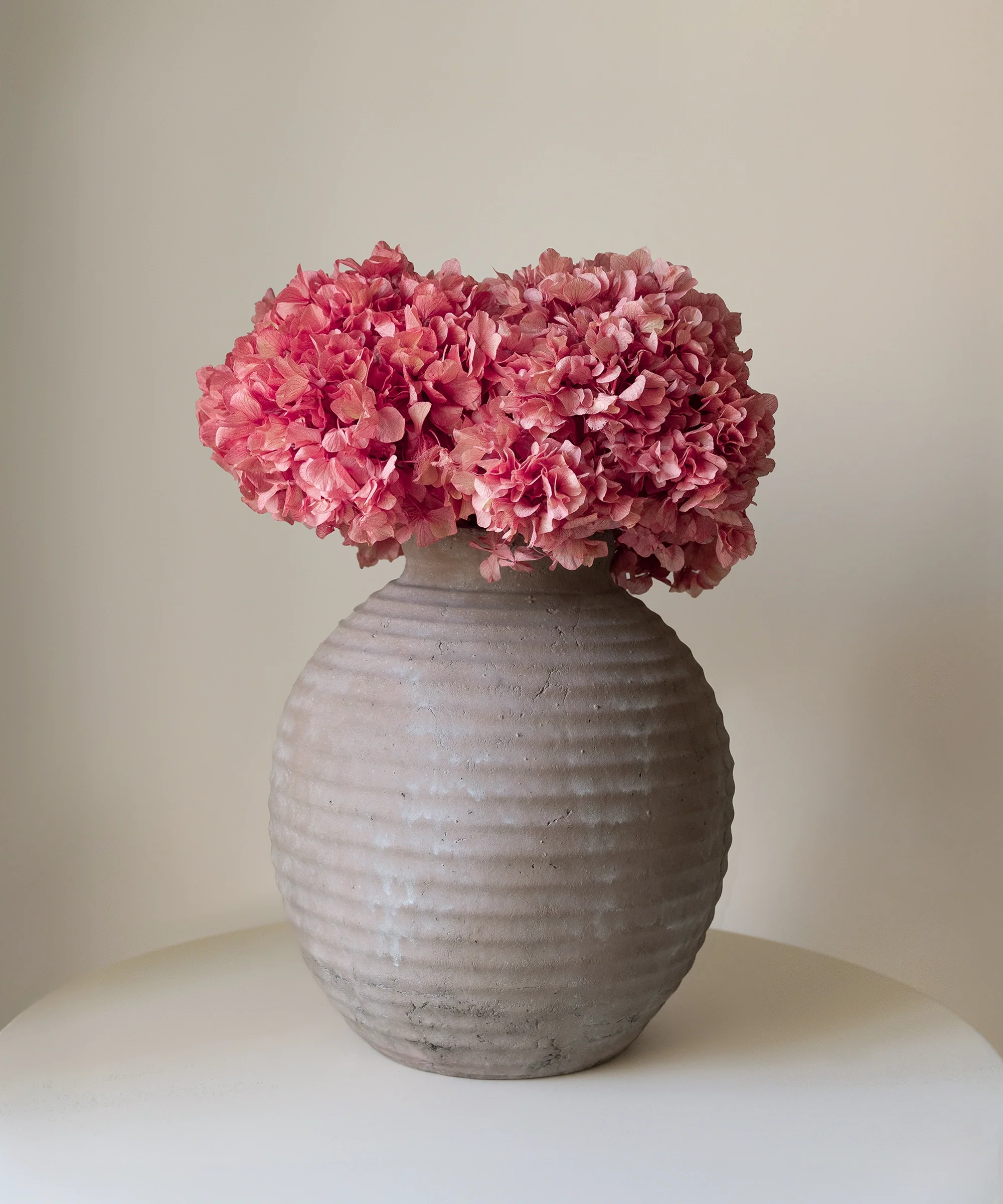 Ramo de Hortensias Preservadas - Image 5