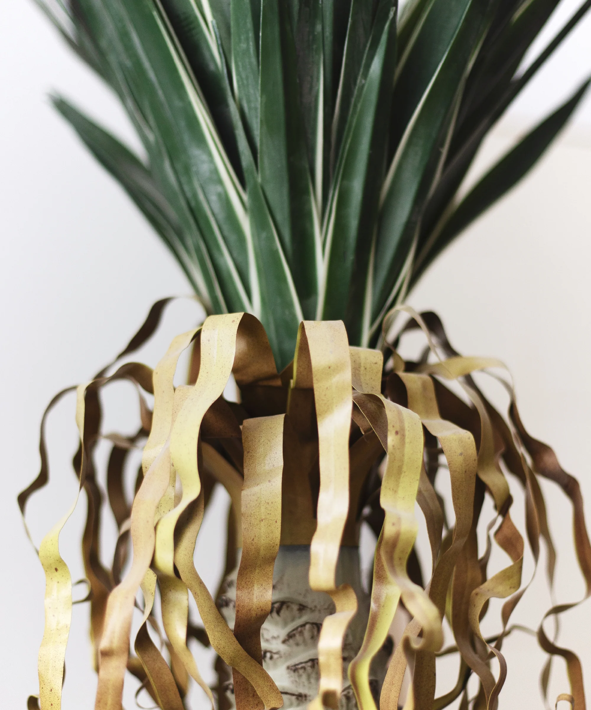 Yuca artificial - Image 4
